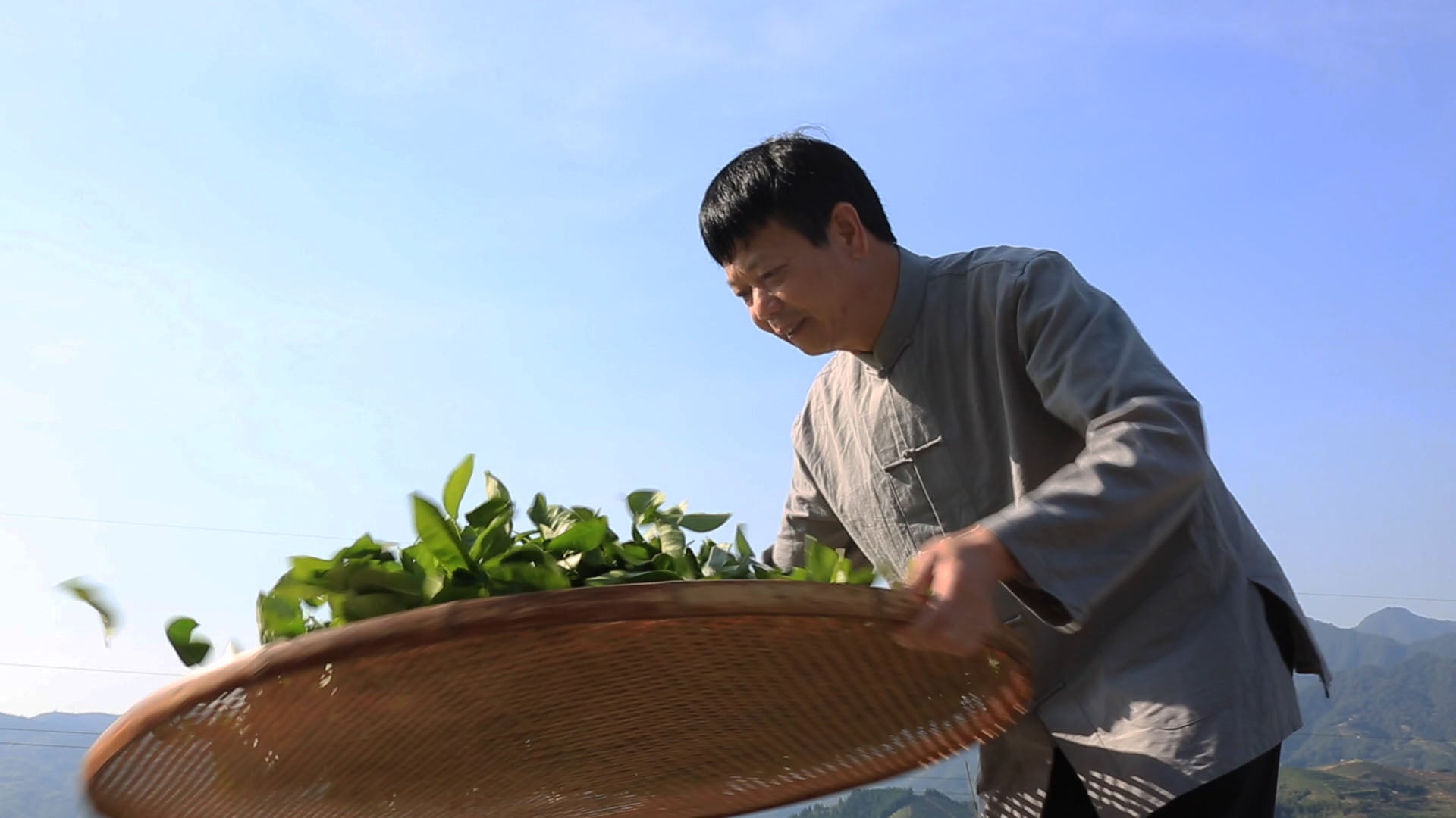 永春佛手茶非遗传承人 康志亮
