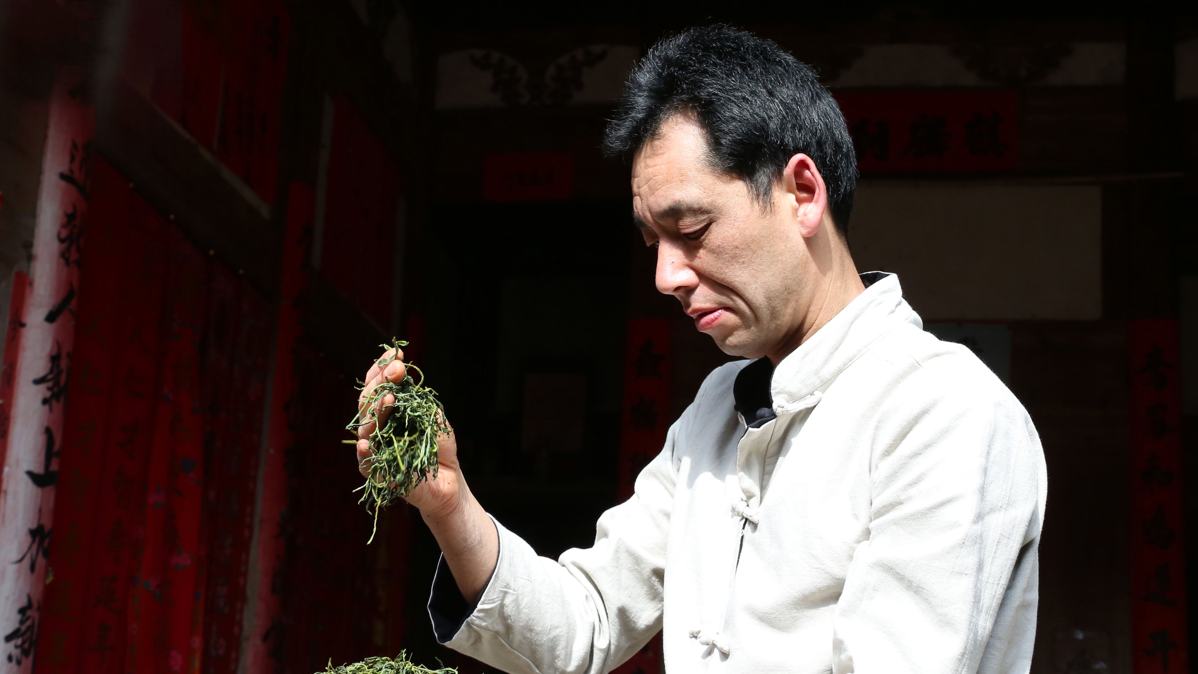 工夫红茶创始人施光凌嫡传第六代传人 施立强