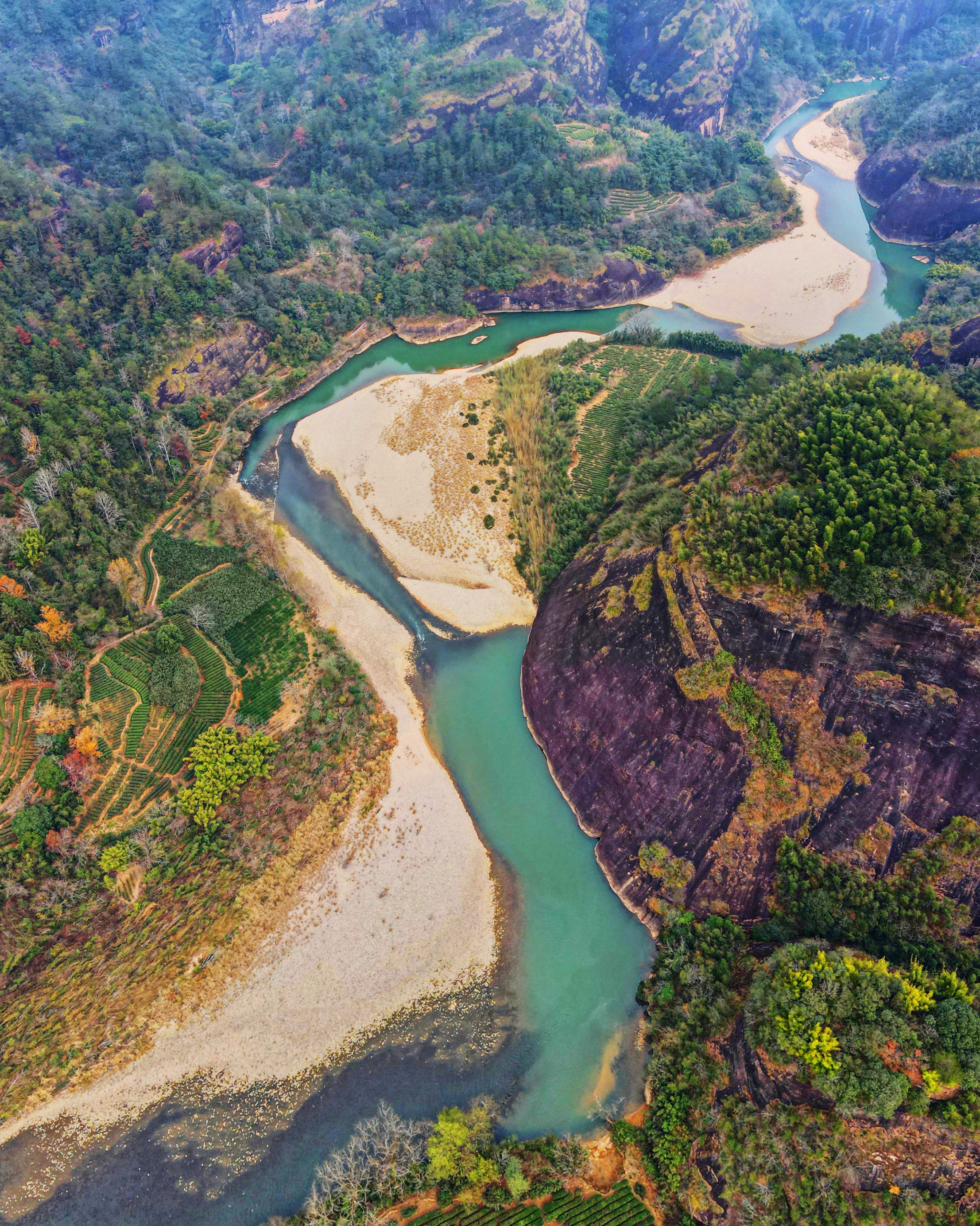 Wuyi Foshou Tea, Xingcun Baisuixiang Tea