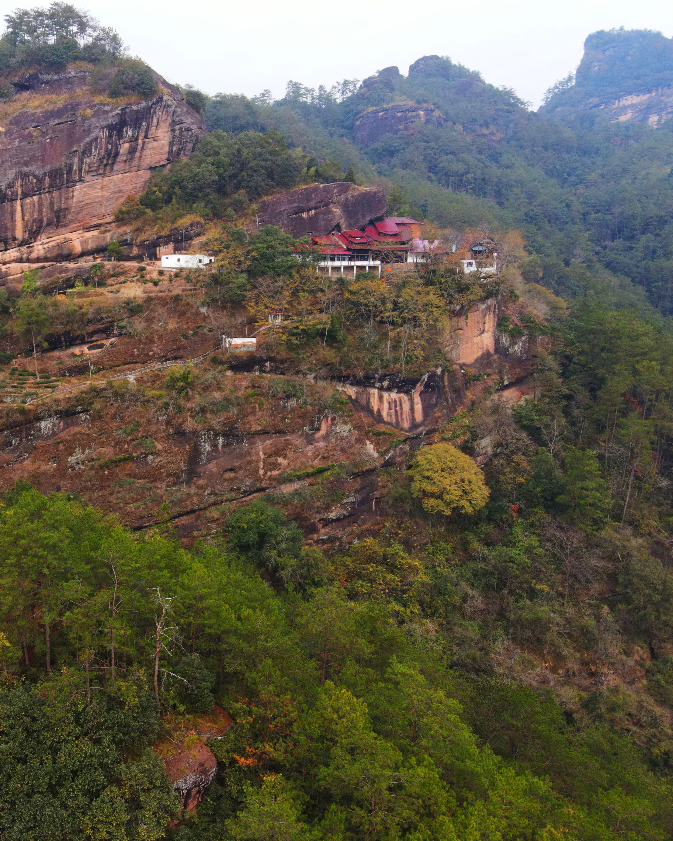 Wuyuanjian Stream Da Hong Pao