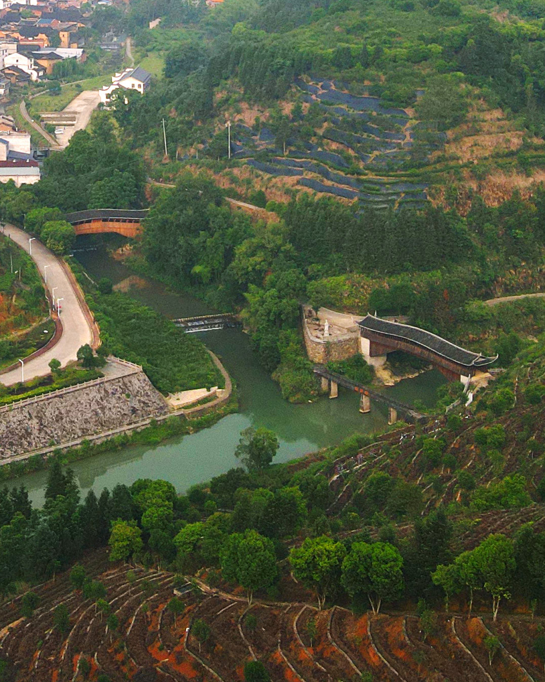 2015 Shi Liqiang Red Rose Aged Tea