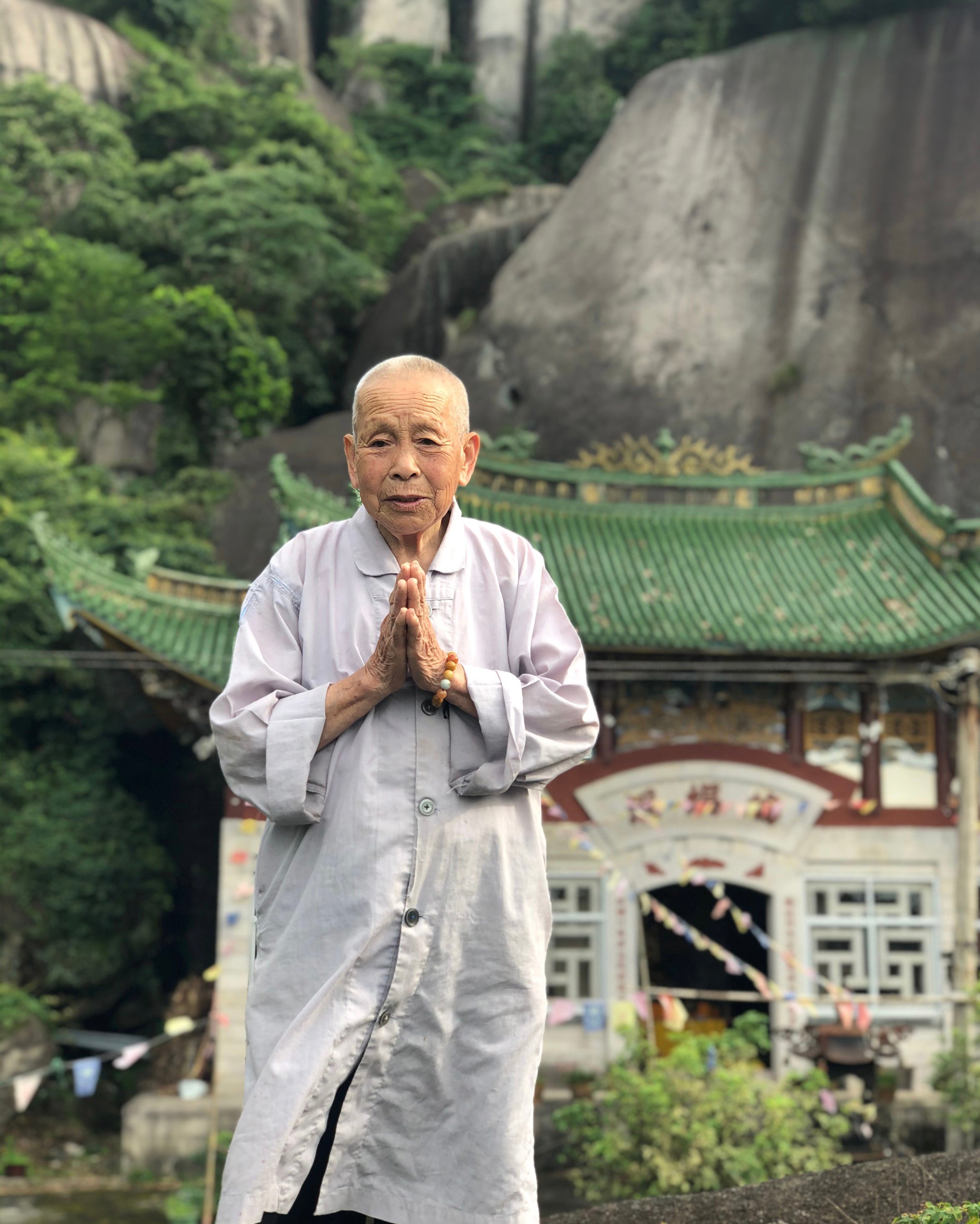 Taimu Mountain 2013 Silver Needle White Tea