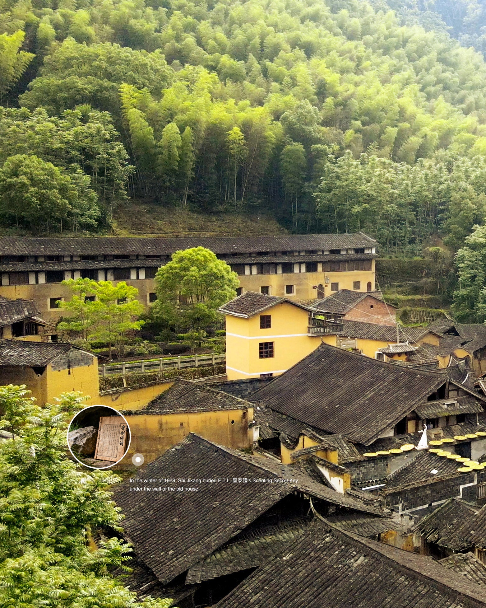 2015 Shi Liqiang Red Rose Aged Tea