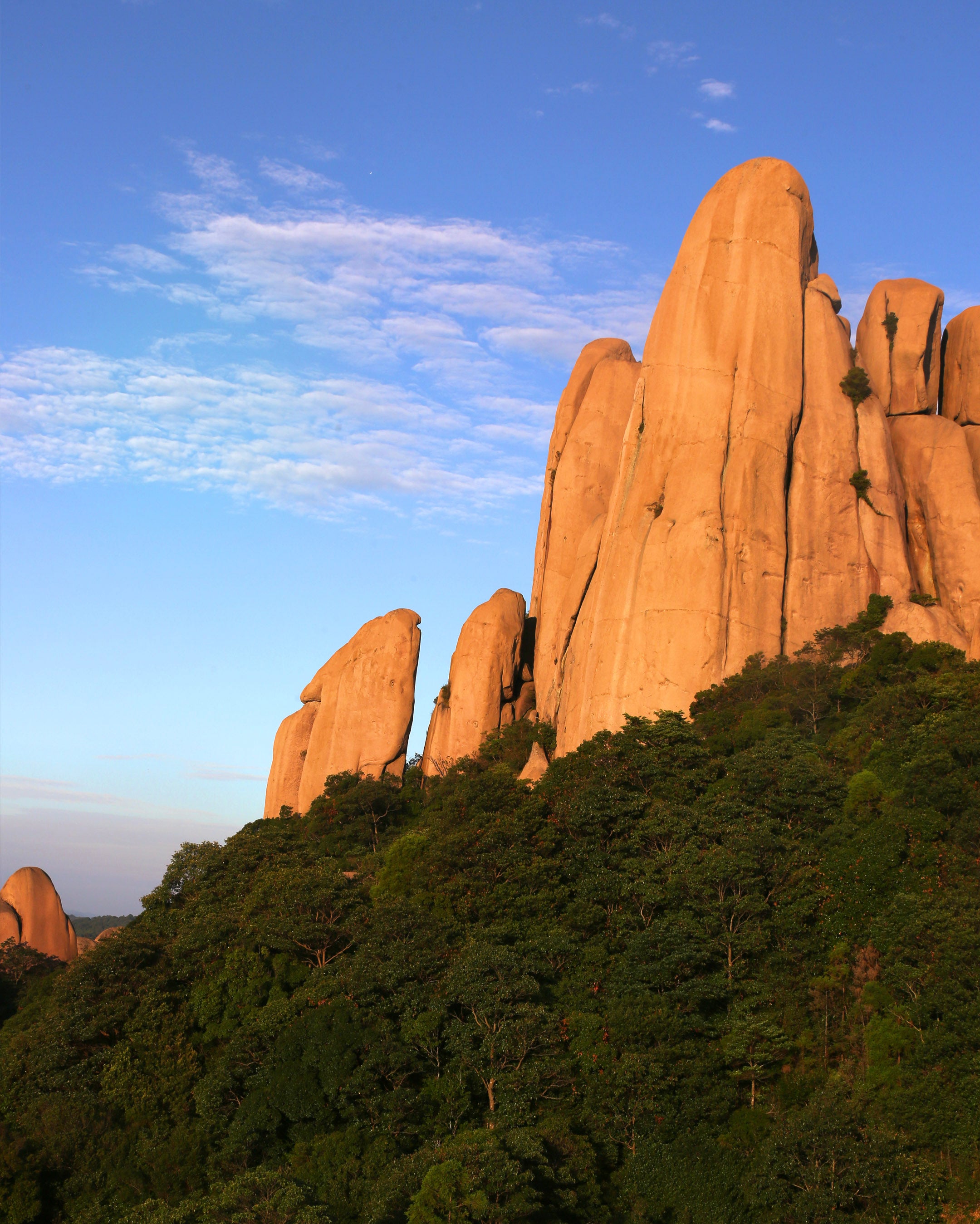 2010 Taimu Mountain Senior Buddhist Nun Craftmade Wild White Tea