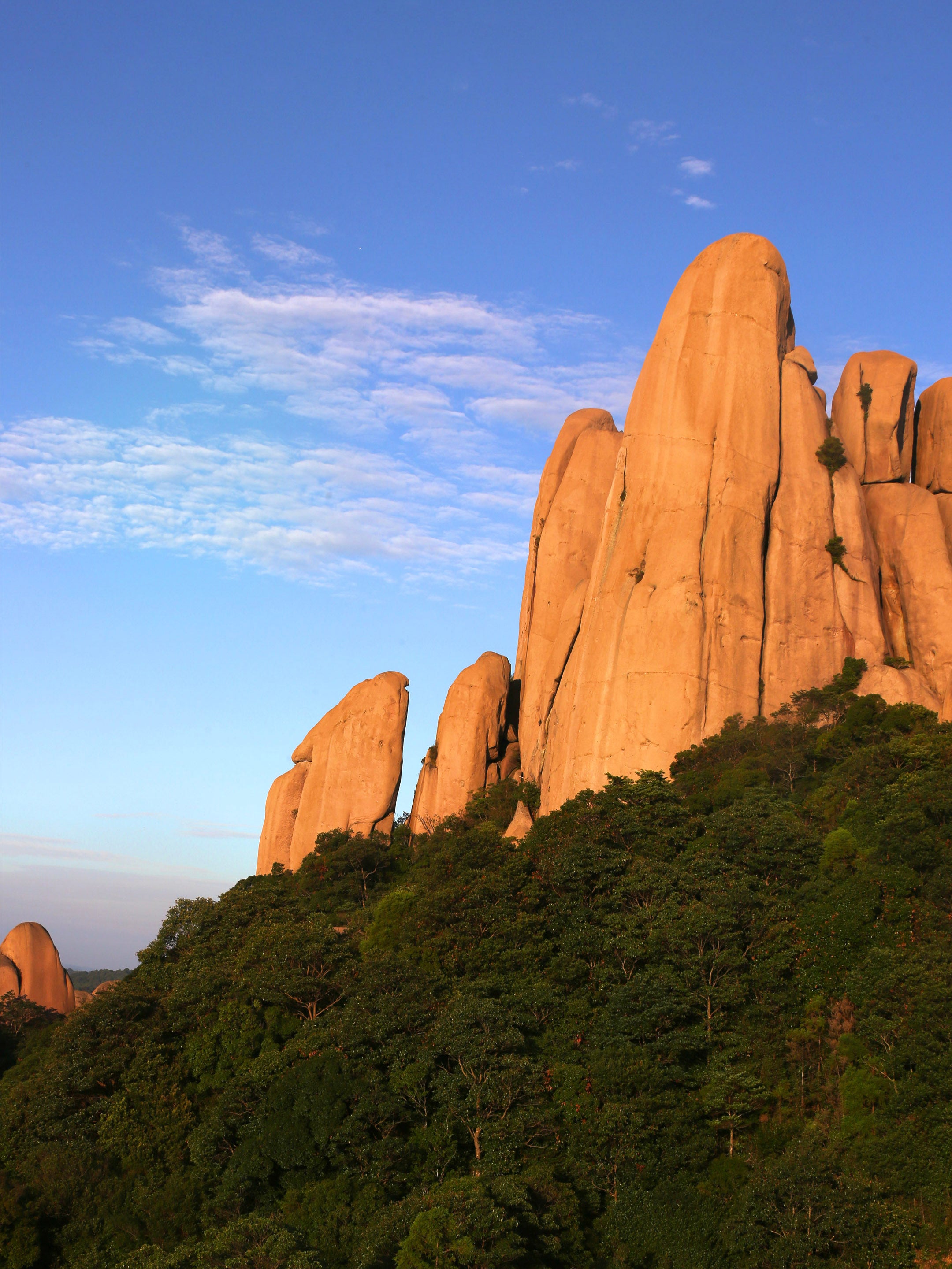 Taimu Mountain Celestial Tea