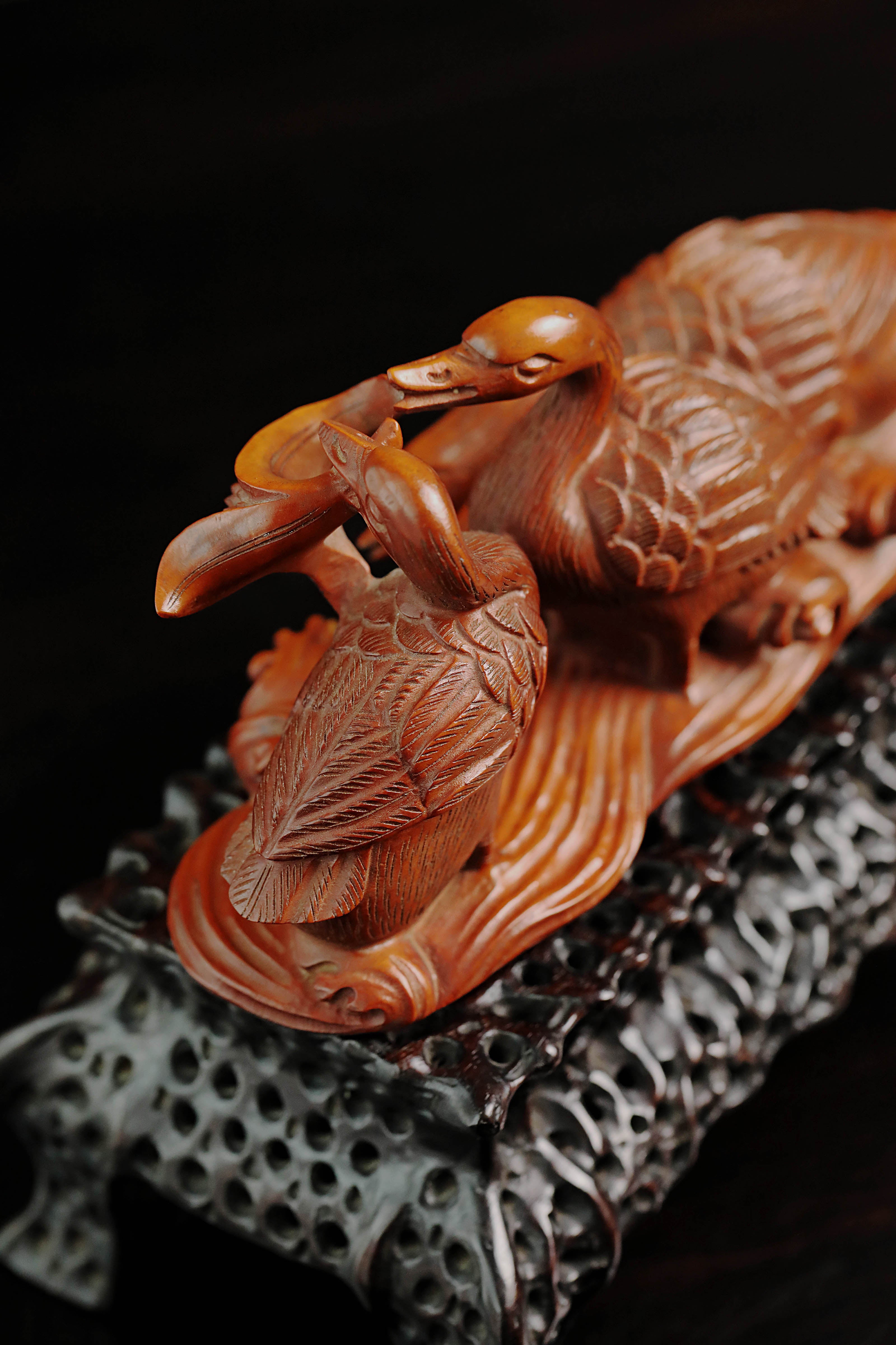 Boxwood in spring, river water warms