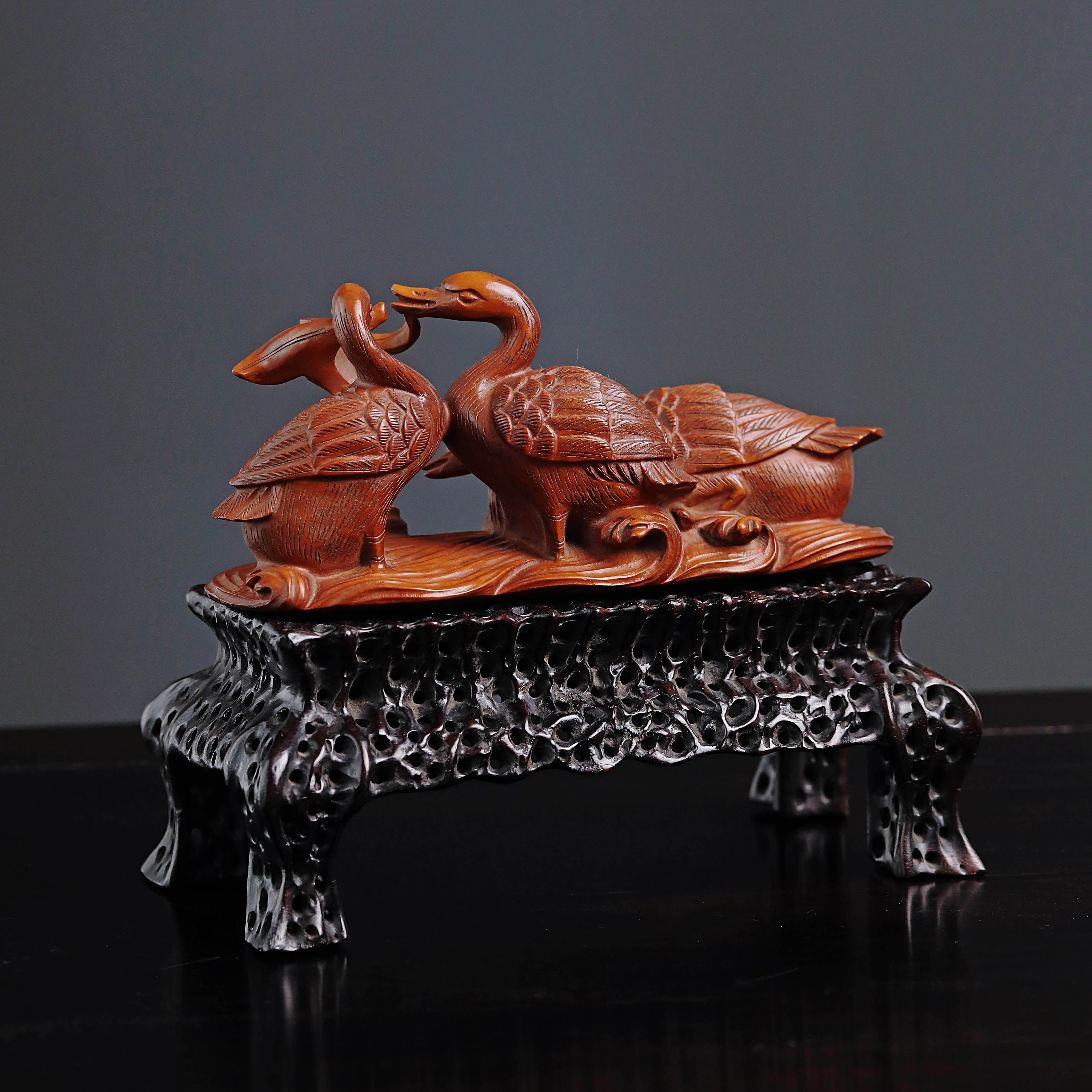 Boxwood in spring, river water warms