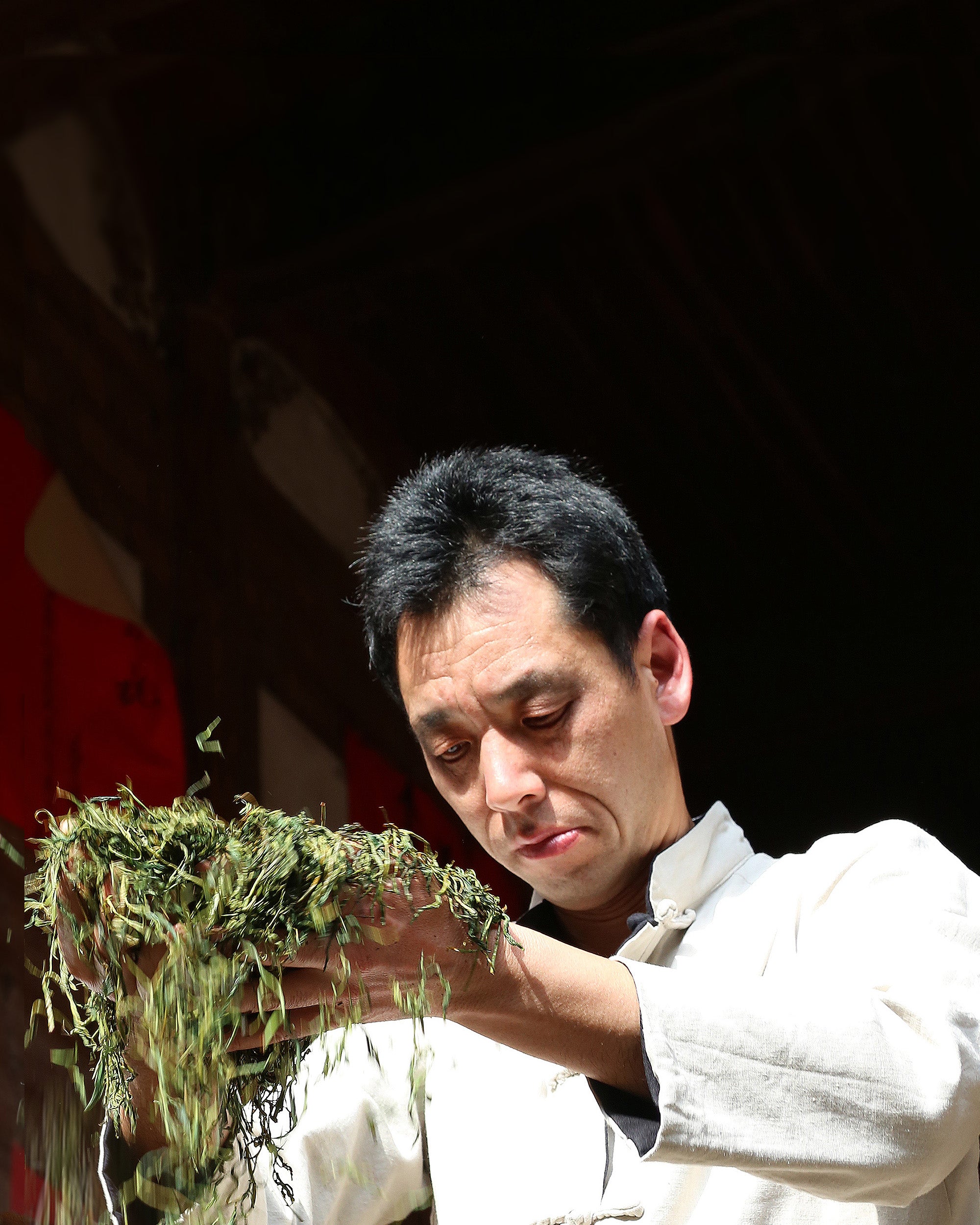 2025 Handcrafted Wild Black Tea