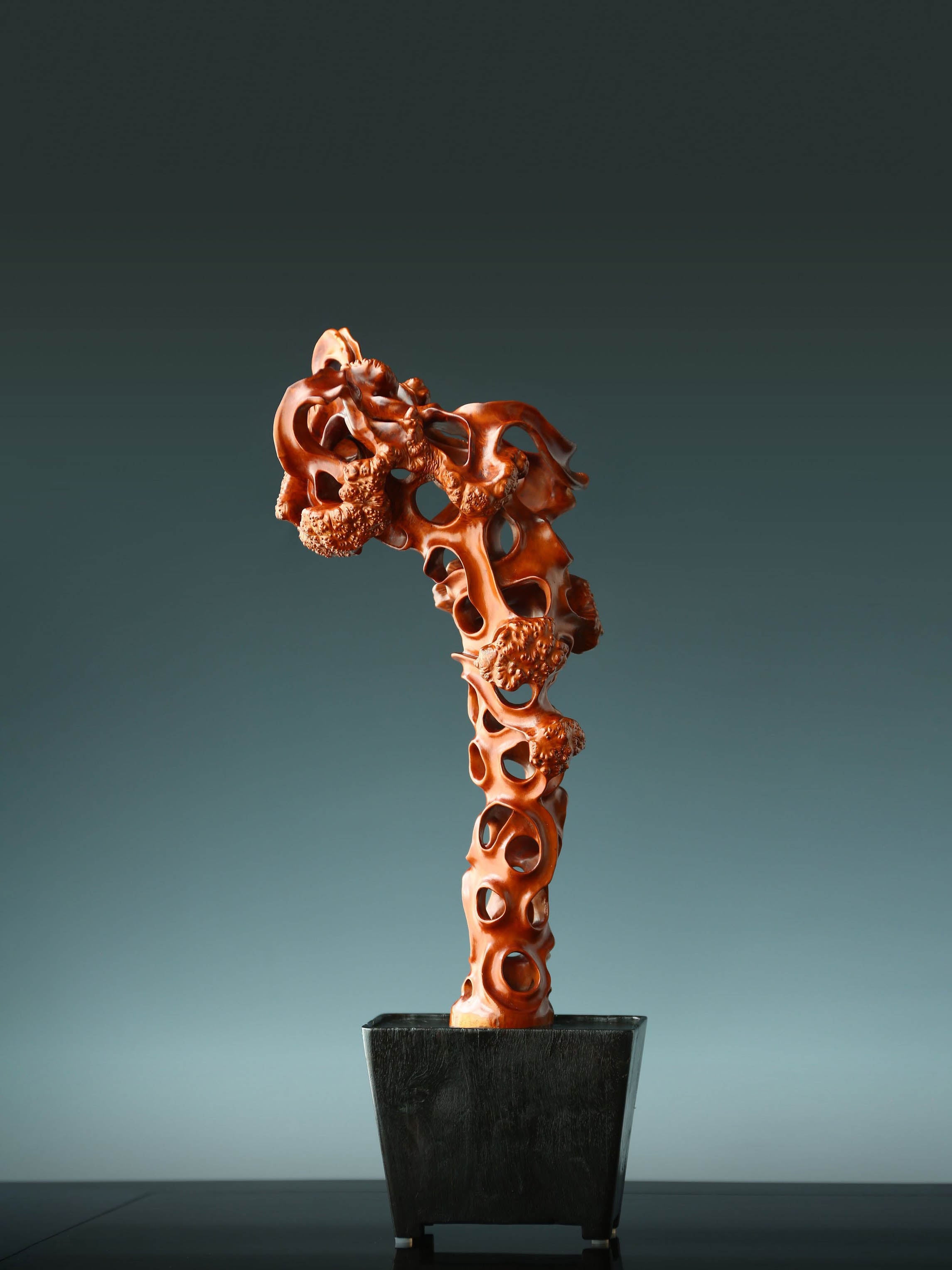 Boxwood Carved Peak Mountain