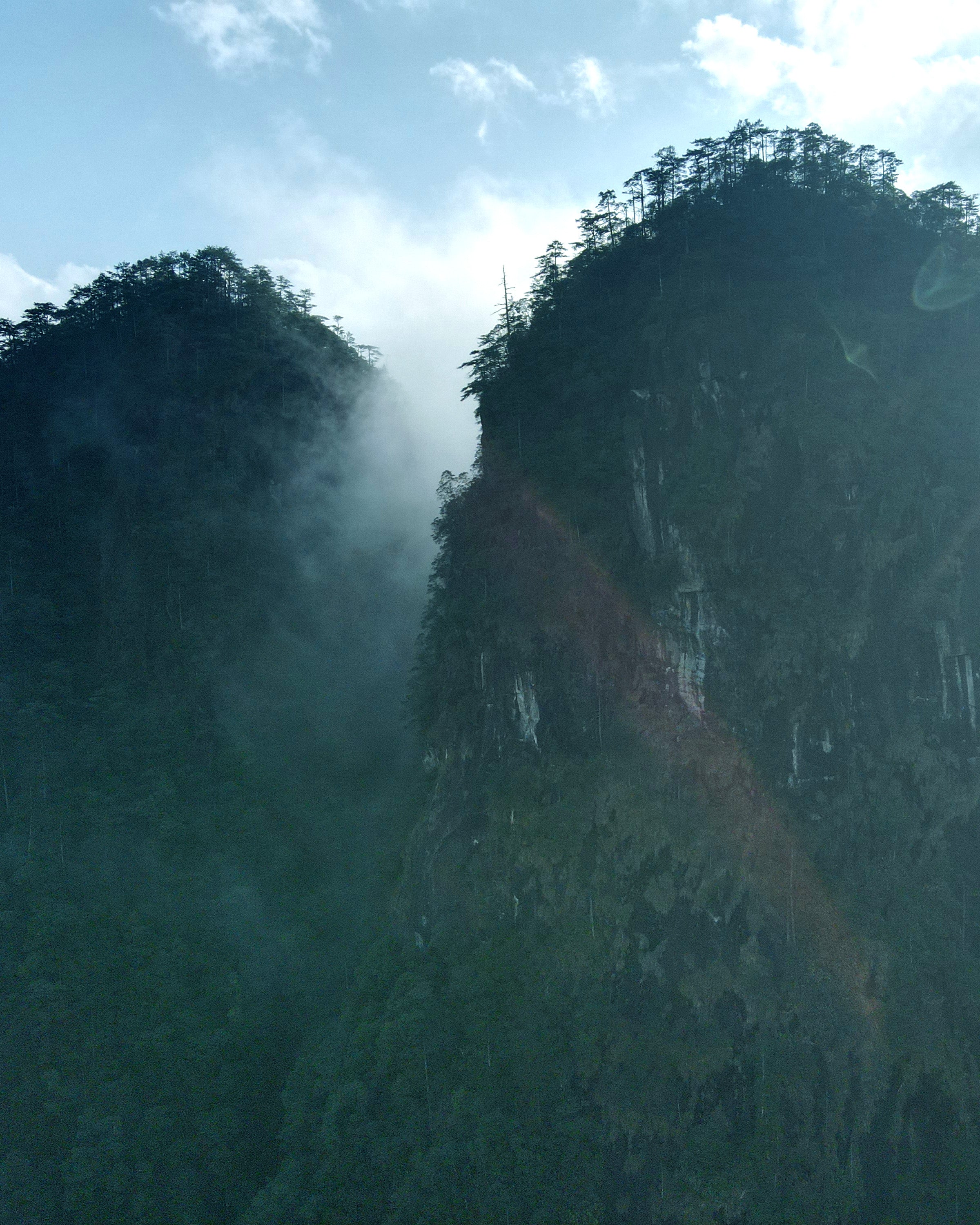 Tongmu Pass Jinjunmei