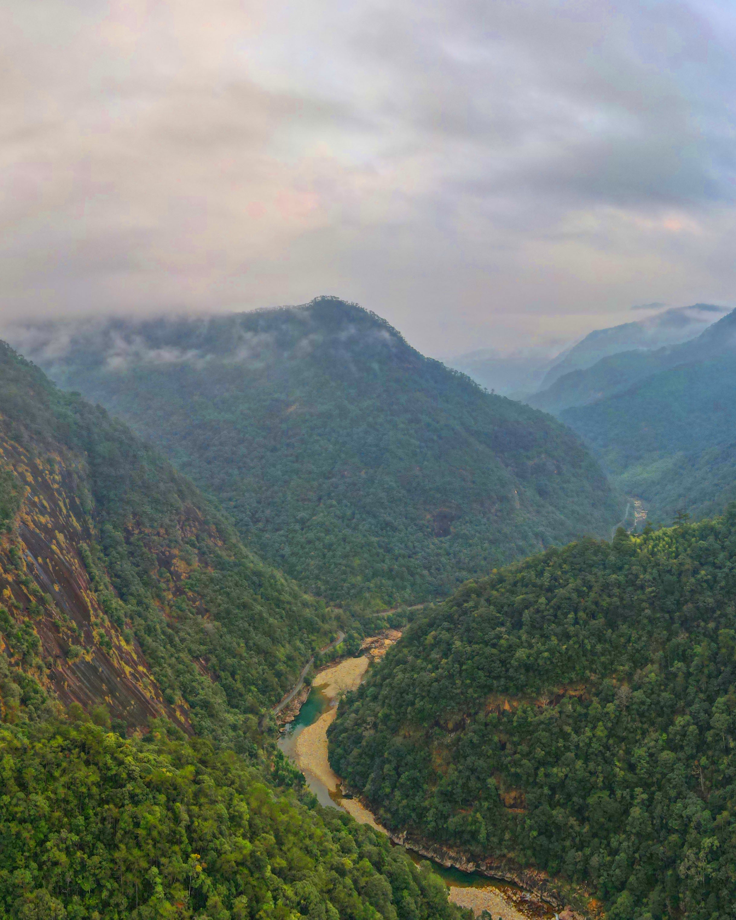 Tongmu Pass Jinjunmei