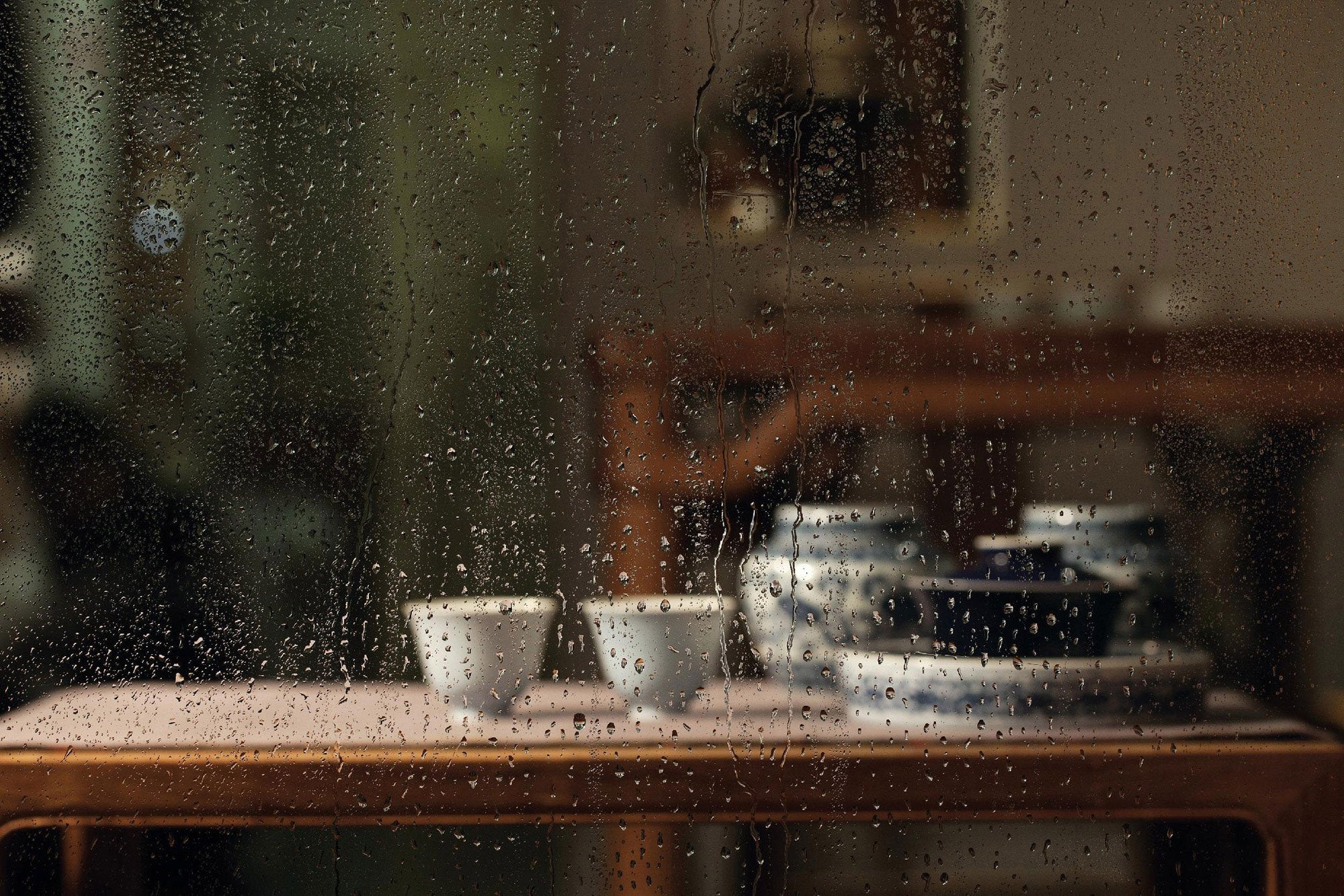 Blue and white algae pattern tea caddy
