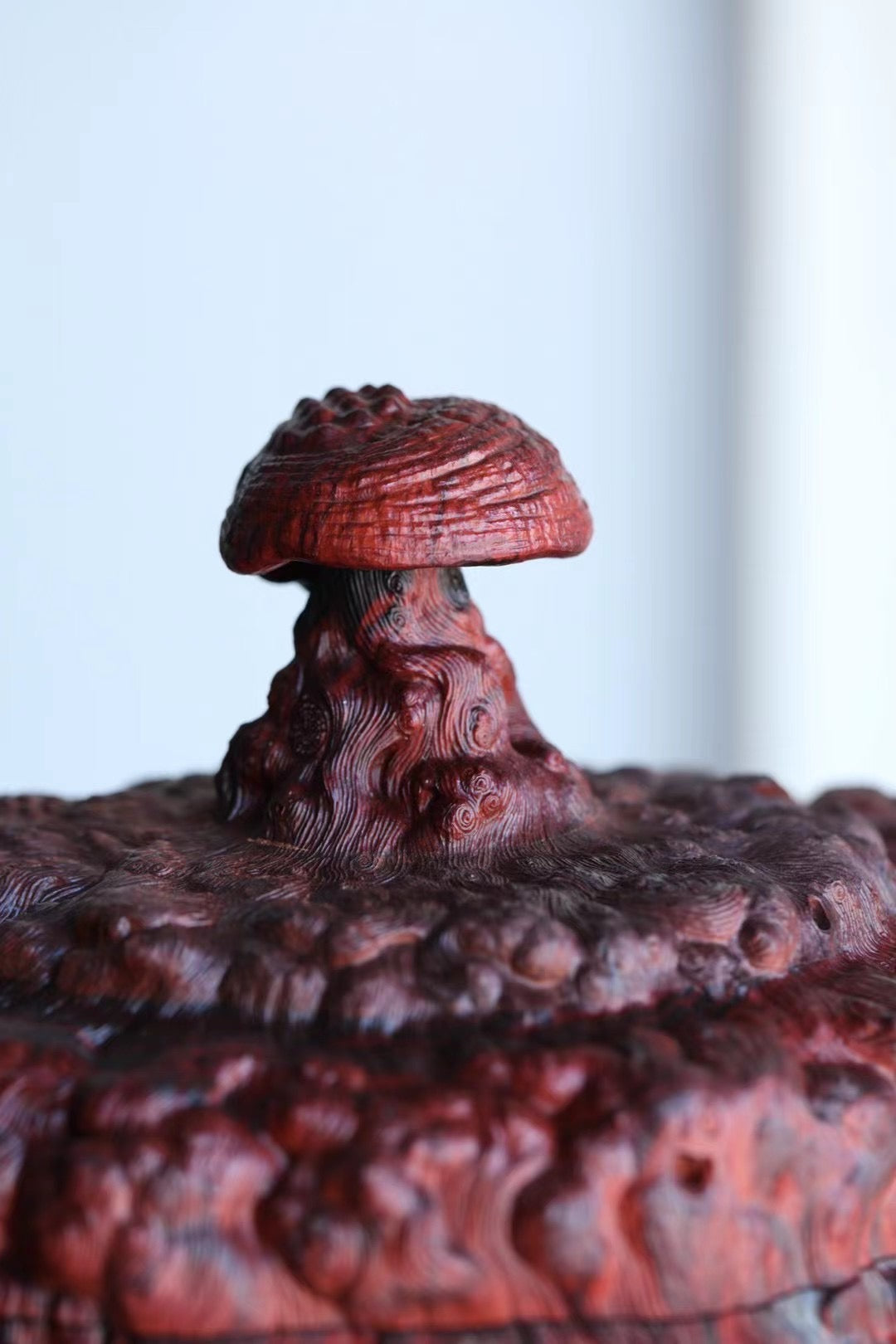 Small-leaf sandalwood, Ganoderma lucidum, and large tea warehouse