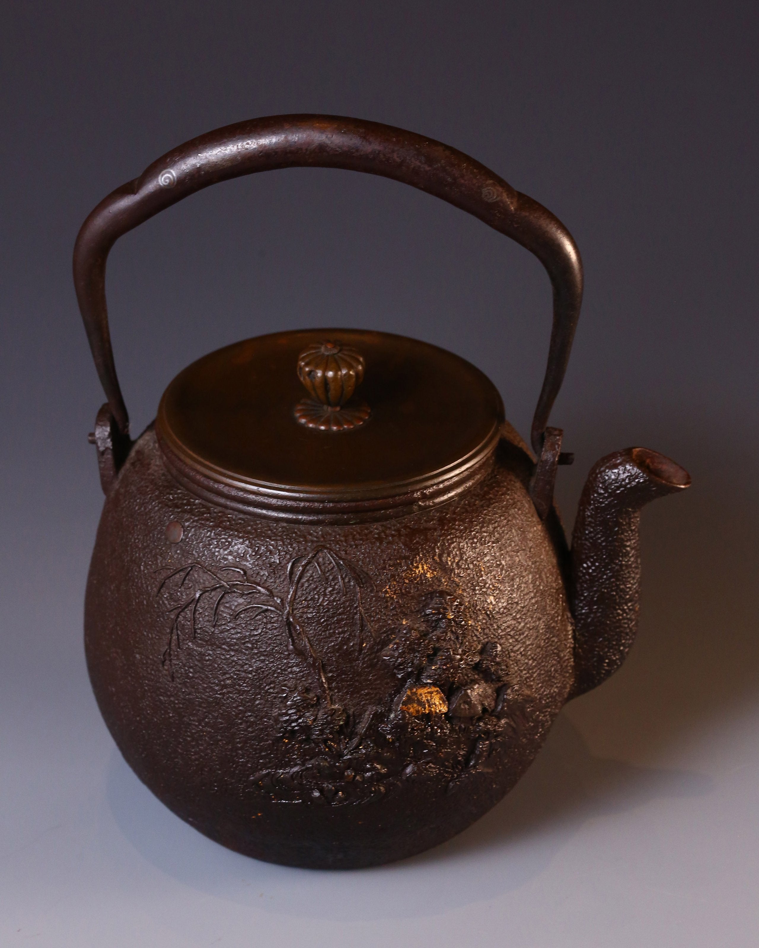 Ryūbundō Begonia Begonia Iron Kettle