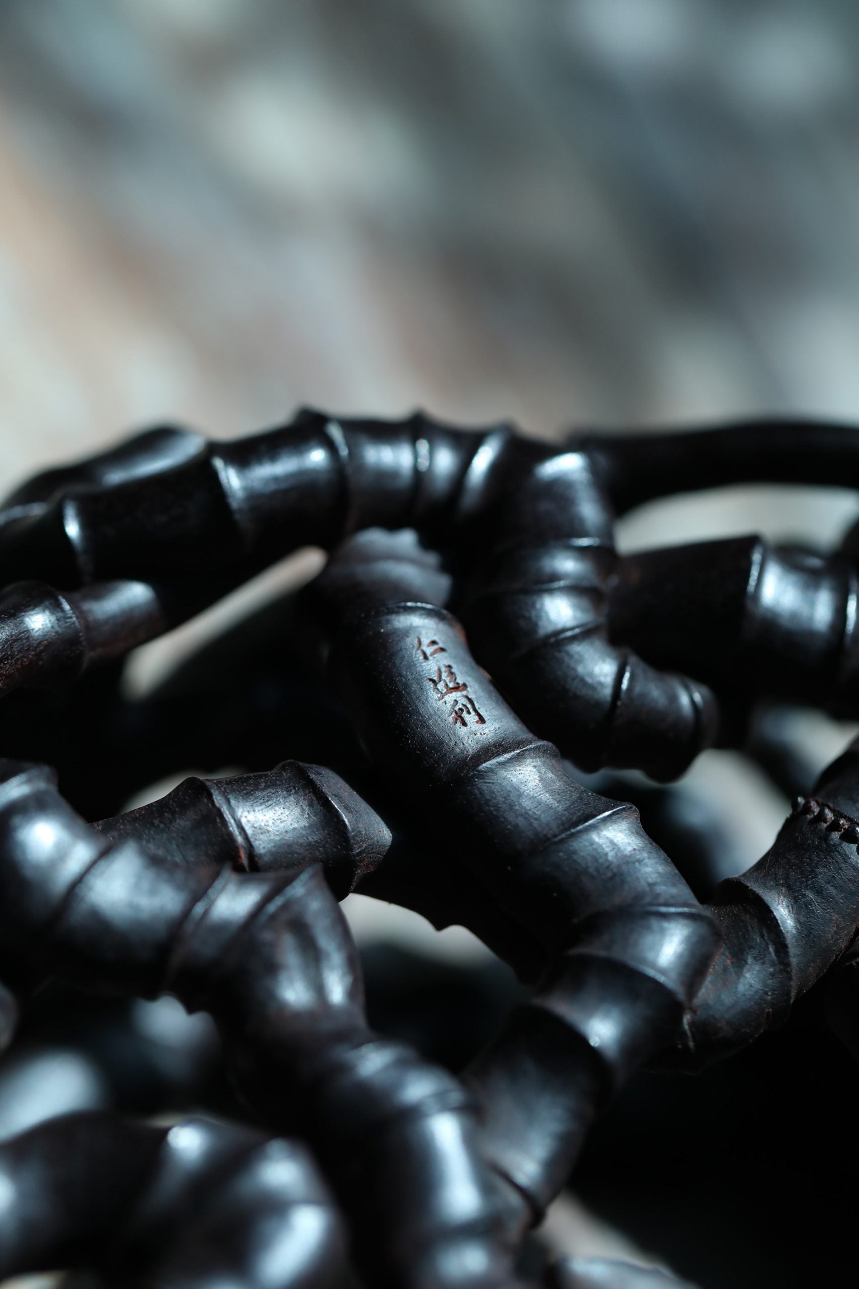 Intricate Roots | Zhao Huaxin's Work