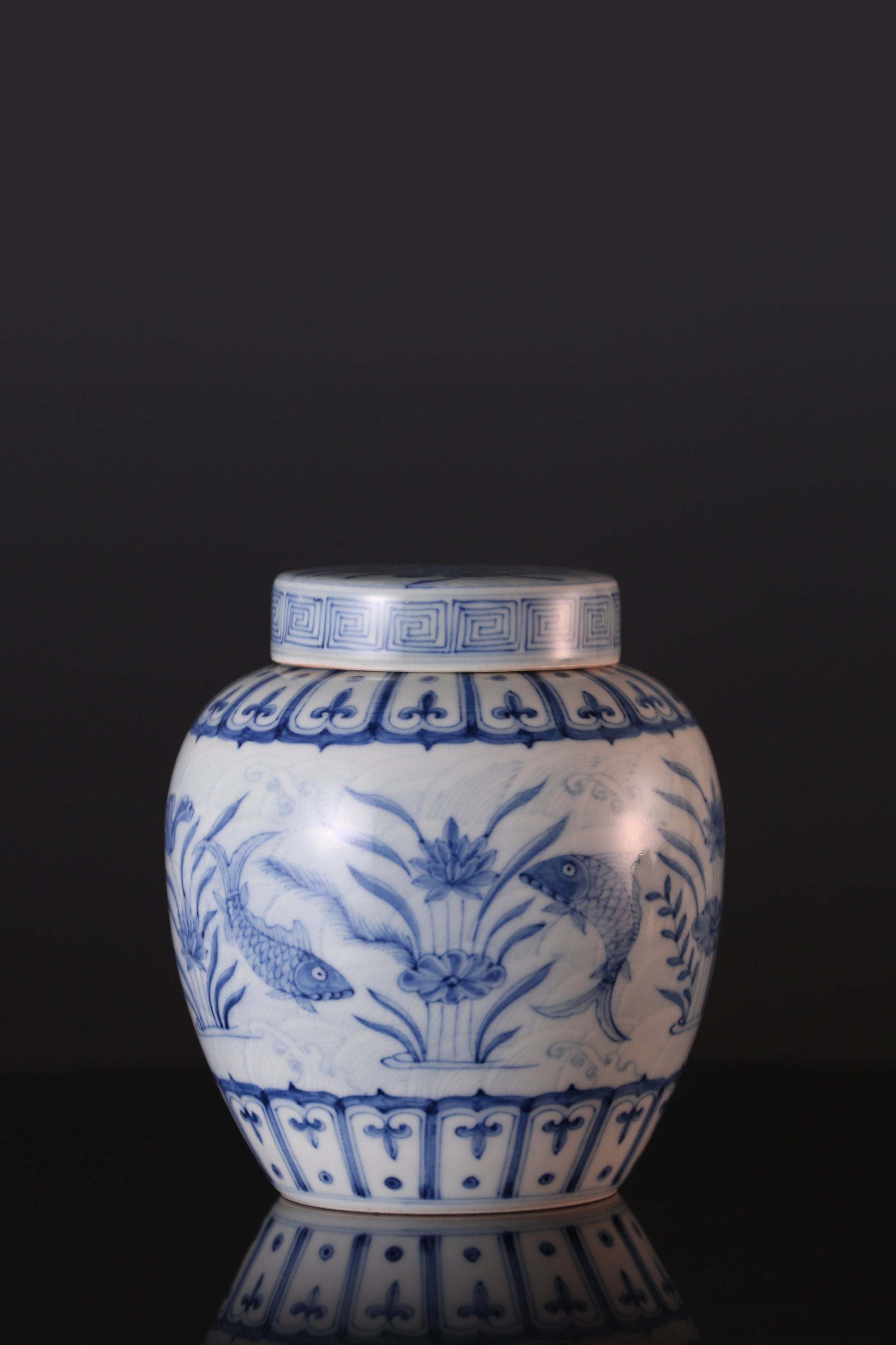 Blue and white algae pattern tea caddy