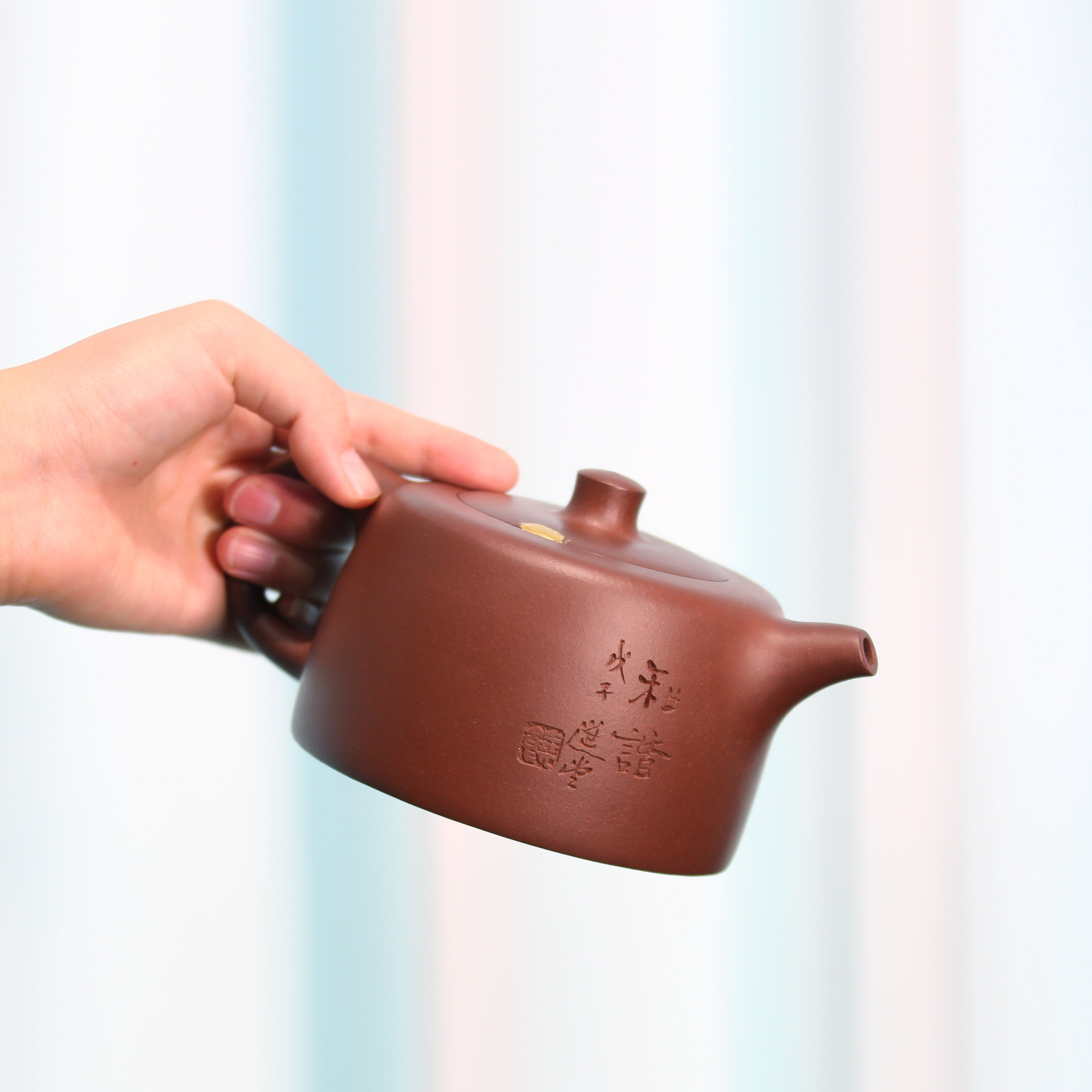 Rao Zongyi's 2008 Qing Dynasty Water Well Curtain Calligraphy and Painting Teapot