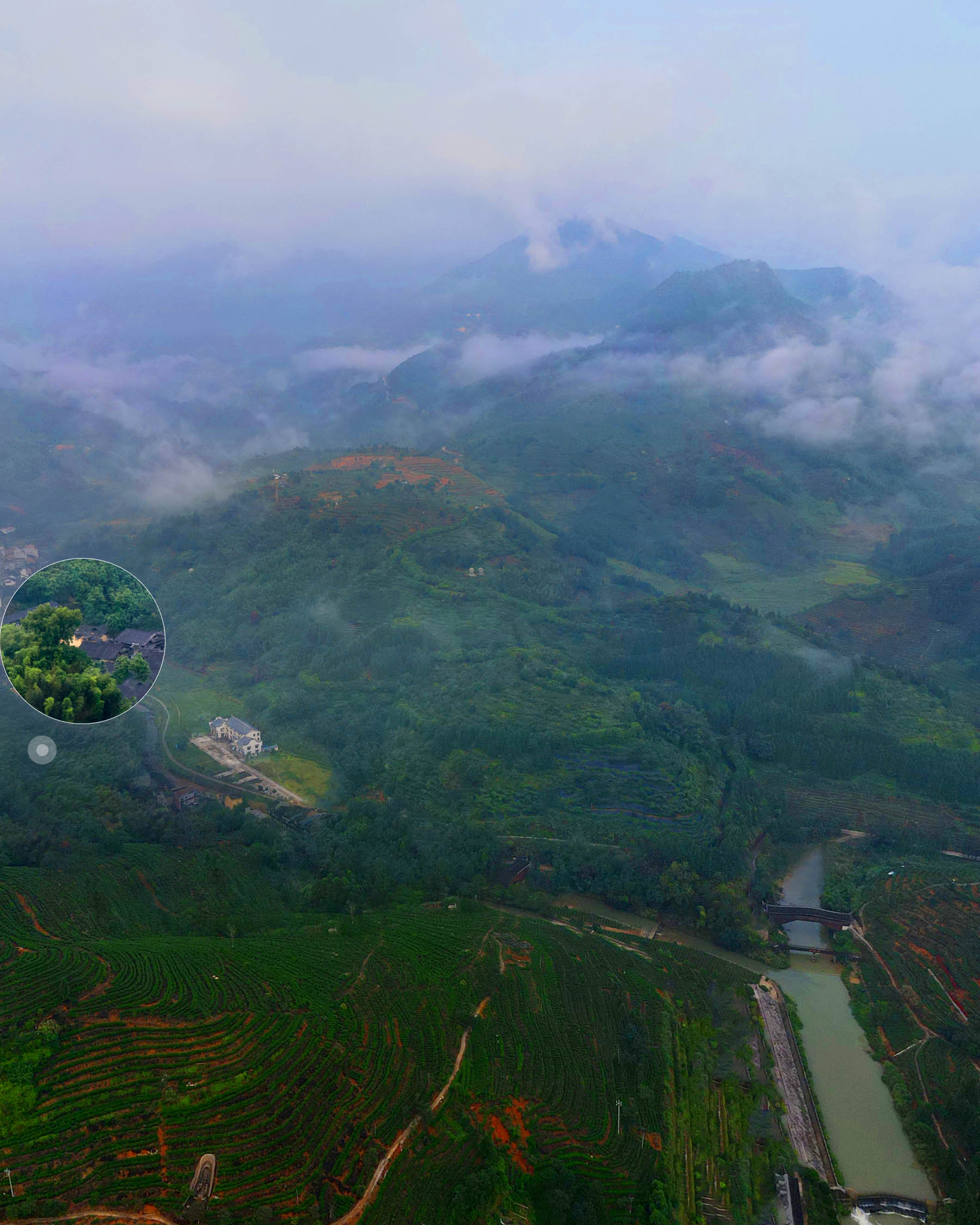 2015 Shi Liqiang Red Rose Aged Tea