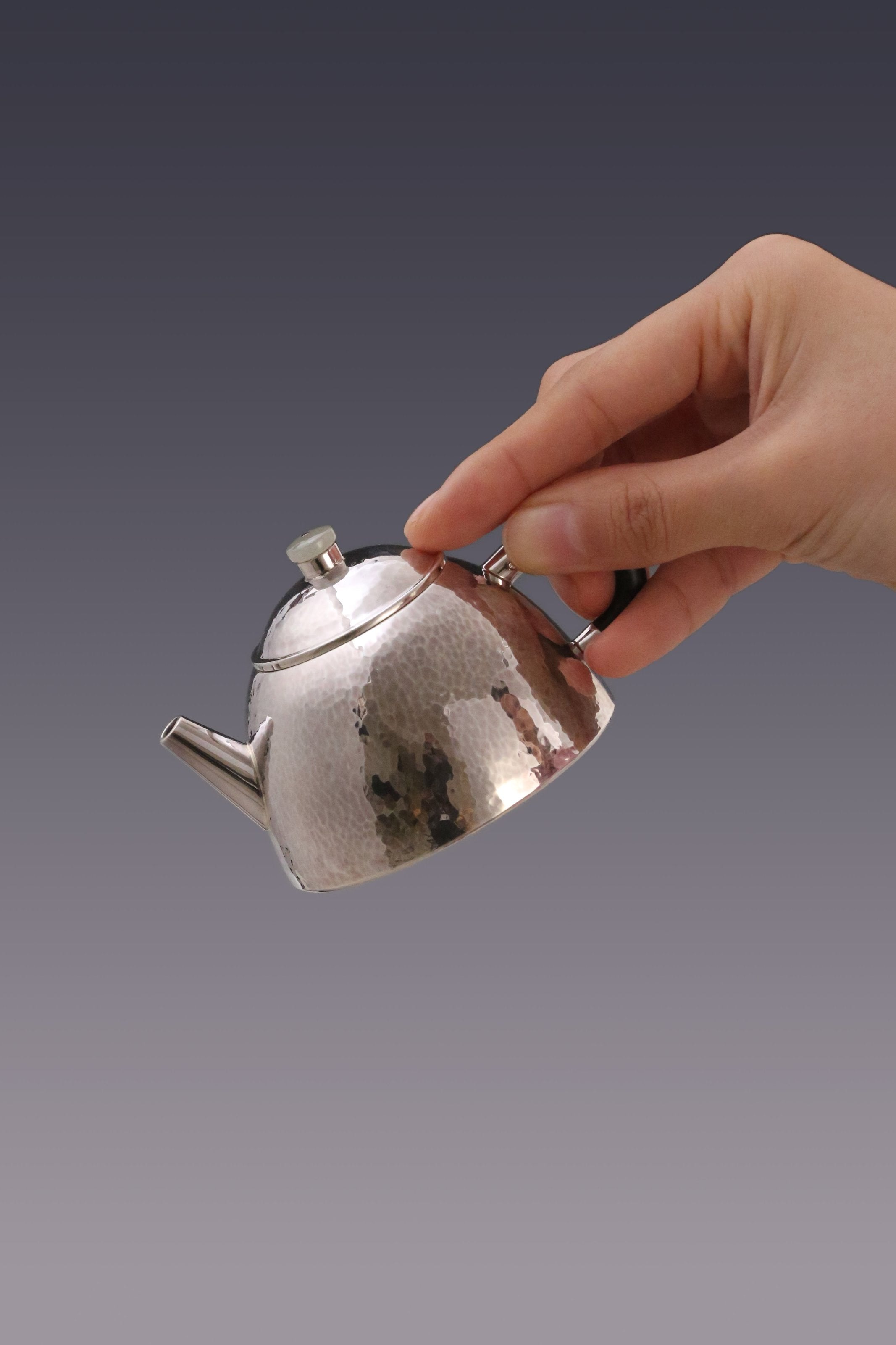 Scholar's Stone Ladle Silver Teapot