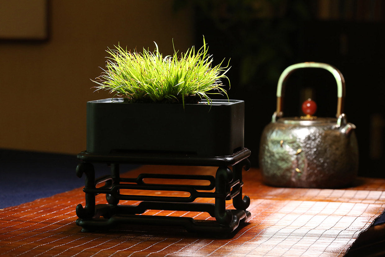 Daya Hall Inkstone and Calamus Basin