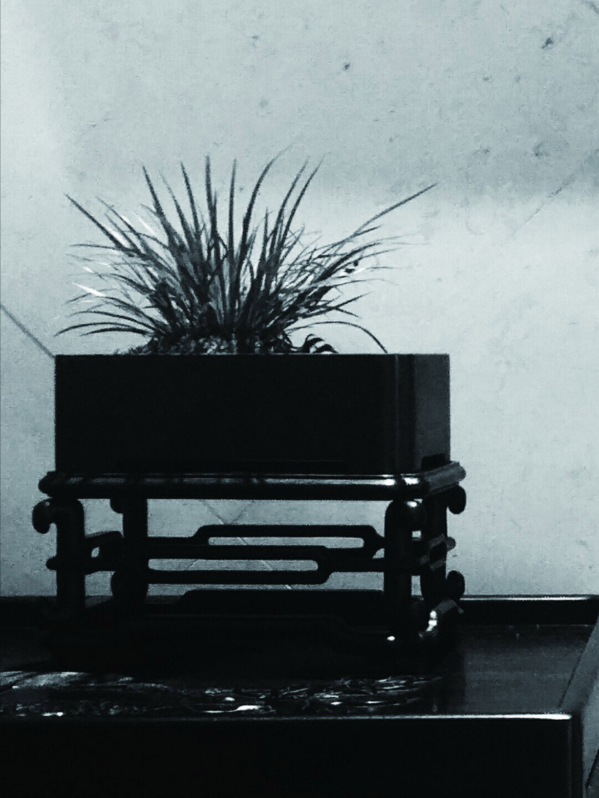 Daya Hall Inkstone and Calamus Basin