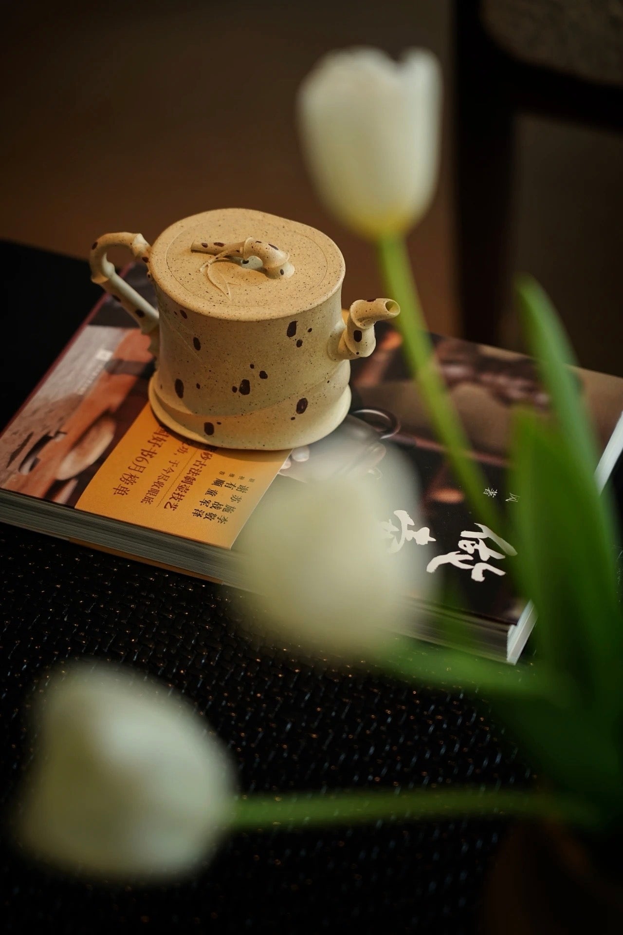 Chen Kai. Yunfei Teapot