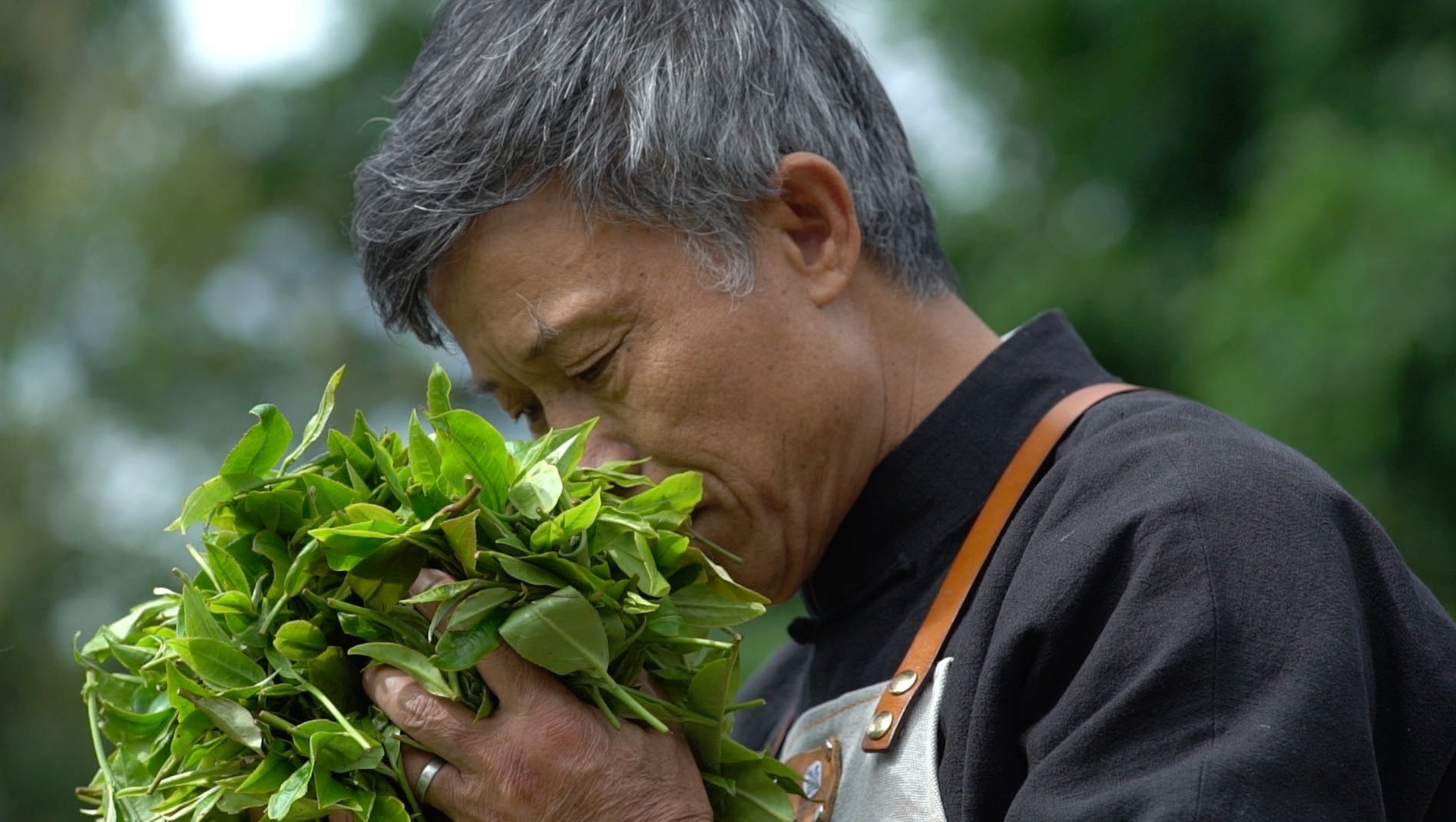 李兴昌——普洱贡茶非遗传承人