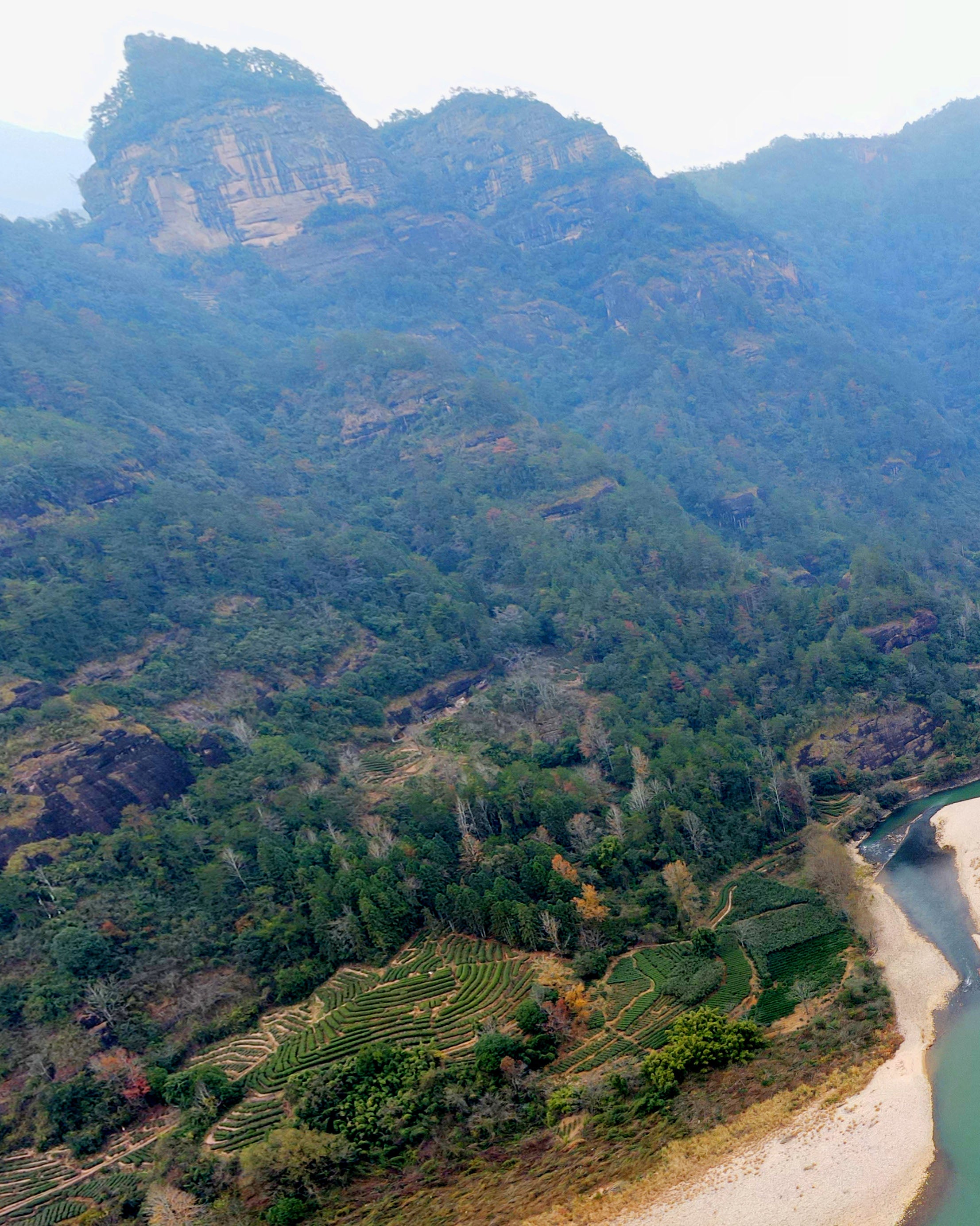 Guanyin Rock High Arbor Orchid Aroma Shuixian