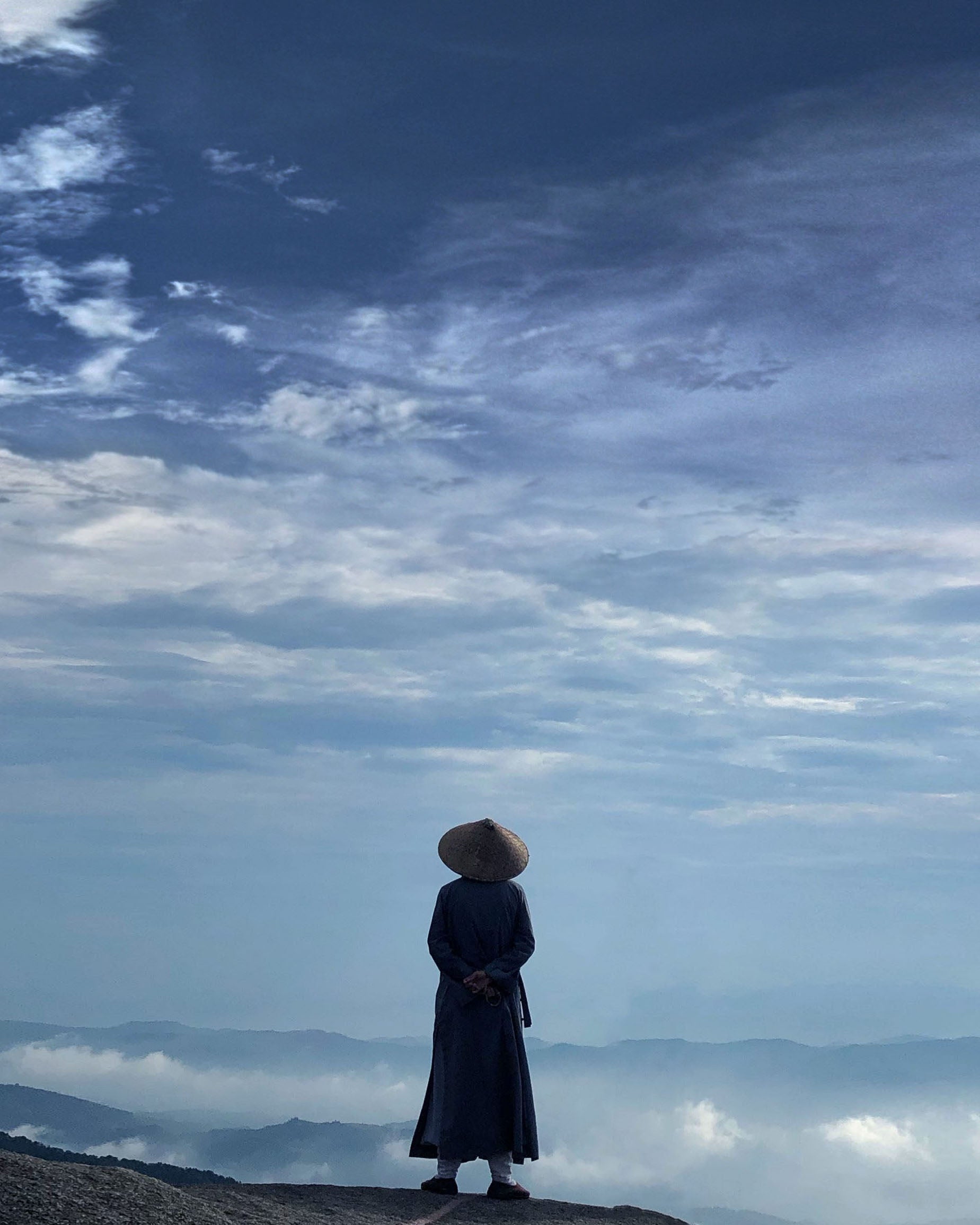 Taimu Mountain 2013 Silver Needle White Tea