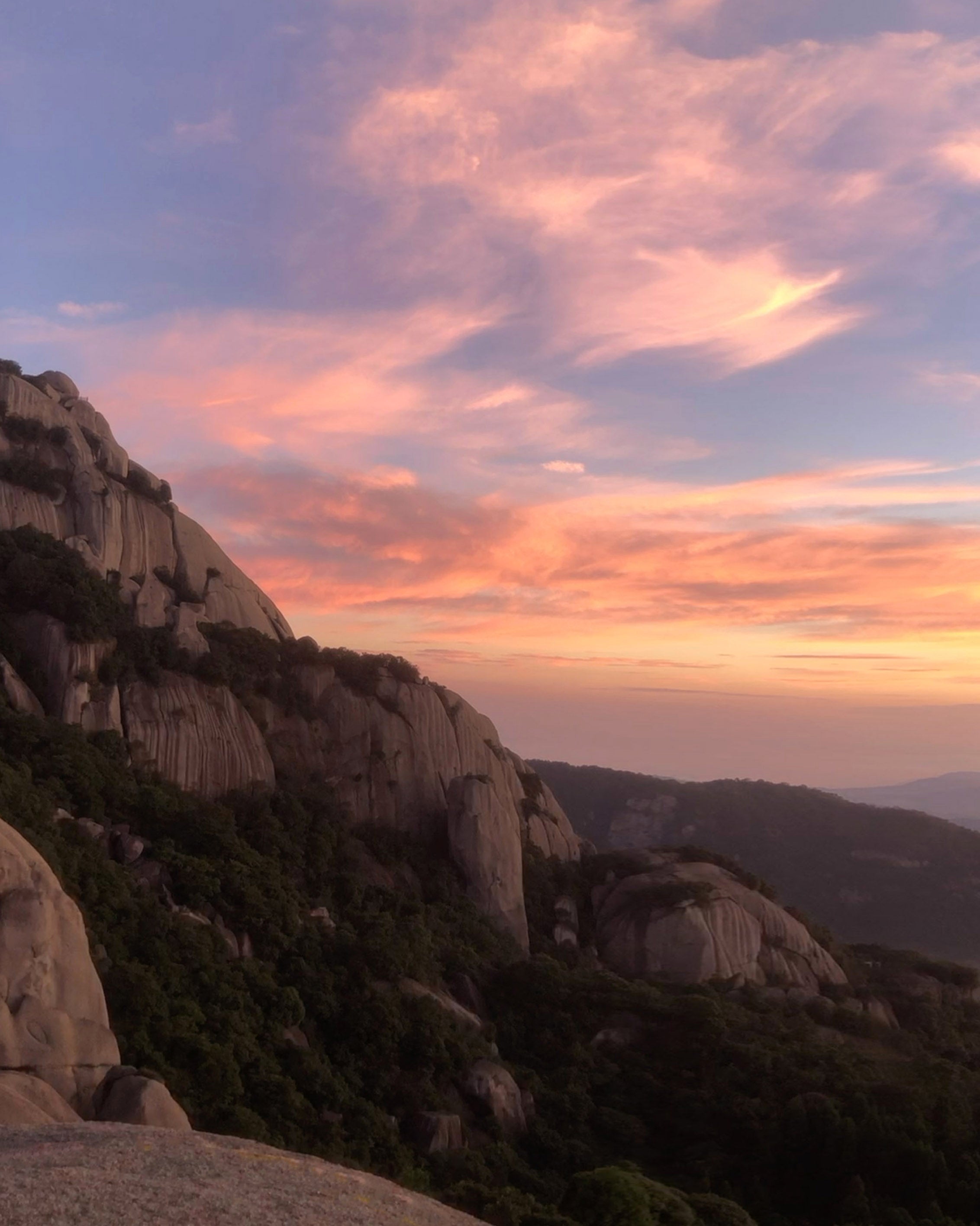 Taimu Mountain Celestial Tea