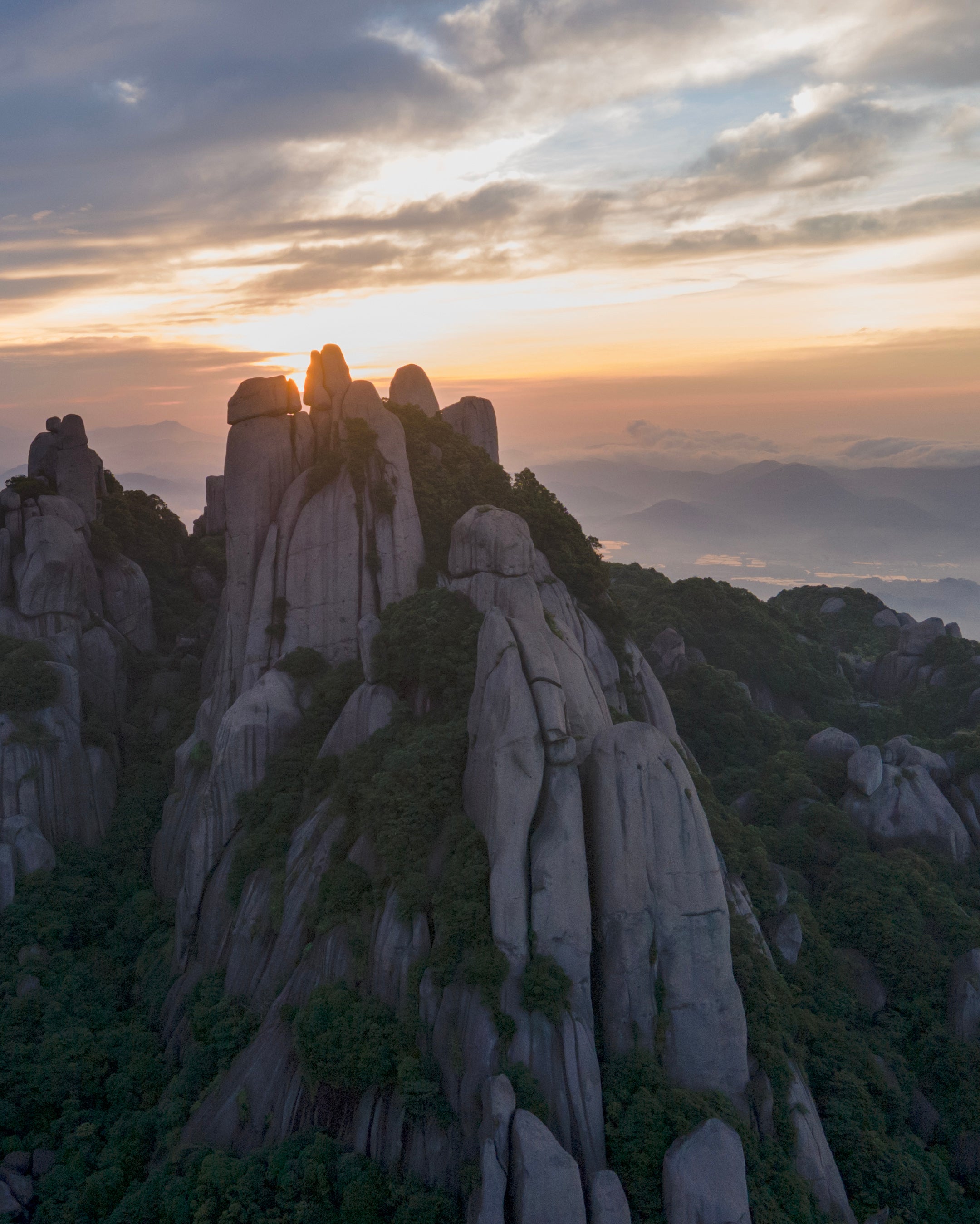 2010 Taimu Mountain Senior Buddhist Nun Craftmade Wild White Tea