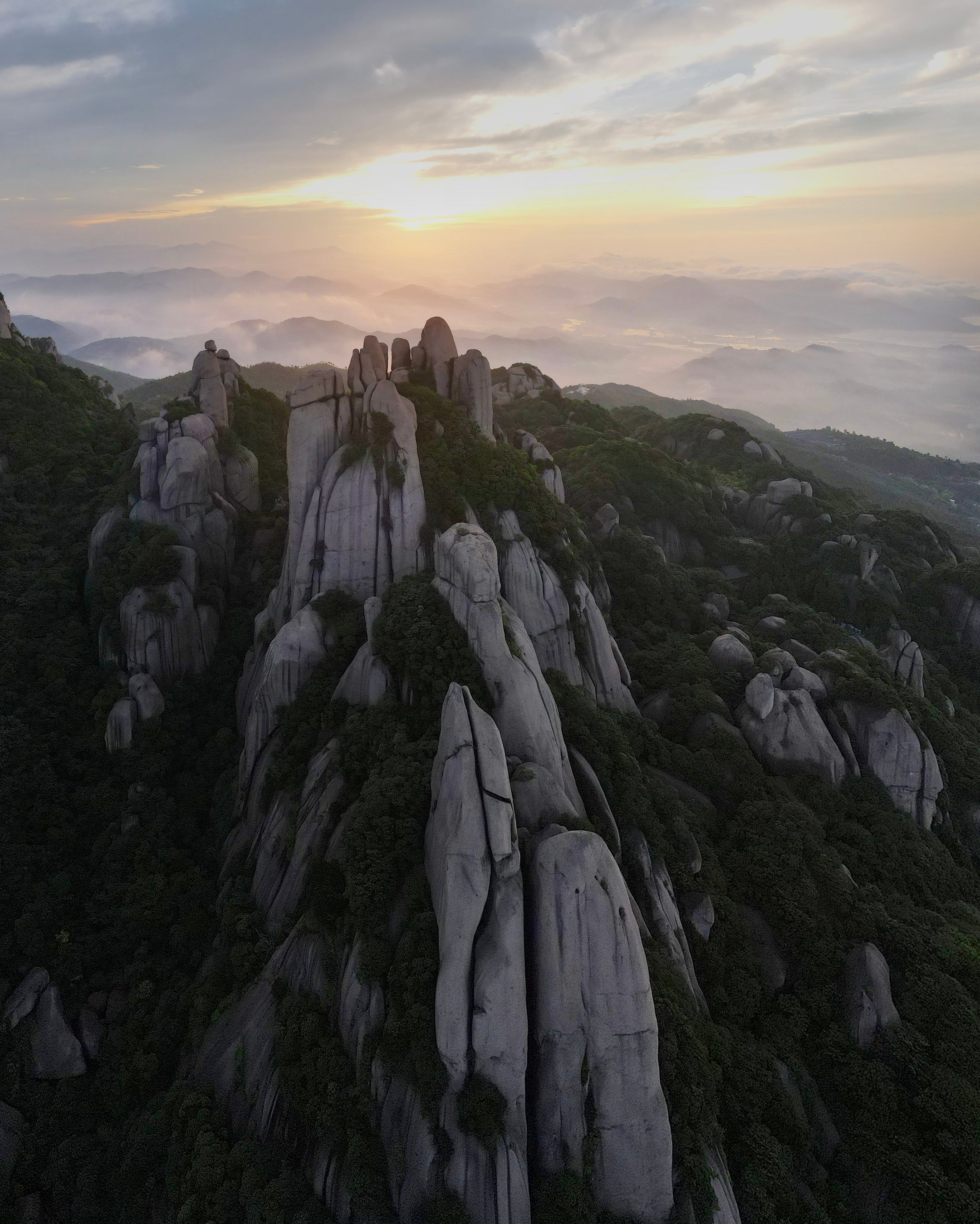 2020 Mountain Fragrance & Wild Charm