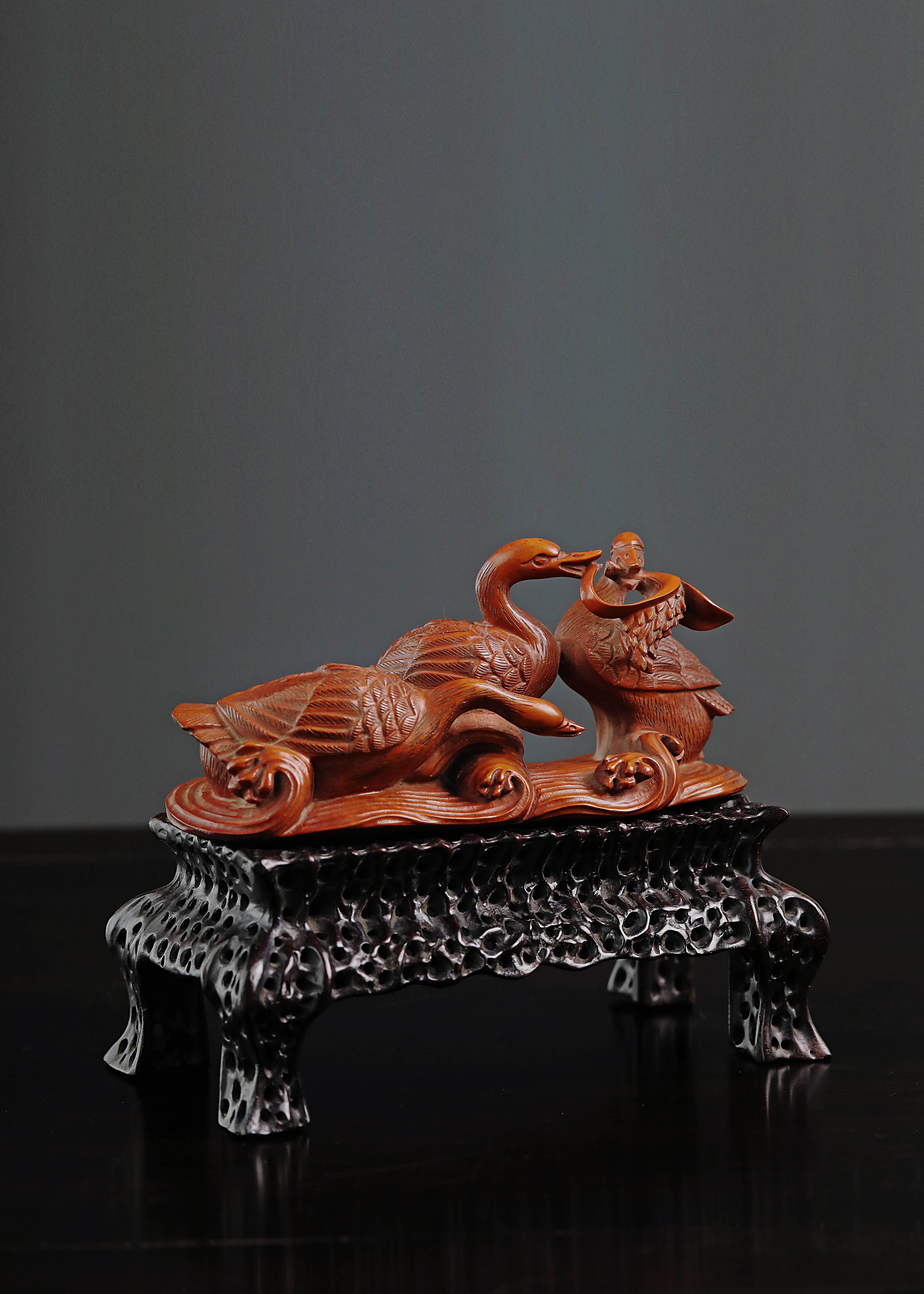 Boxwood in spring, river water warms