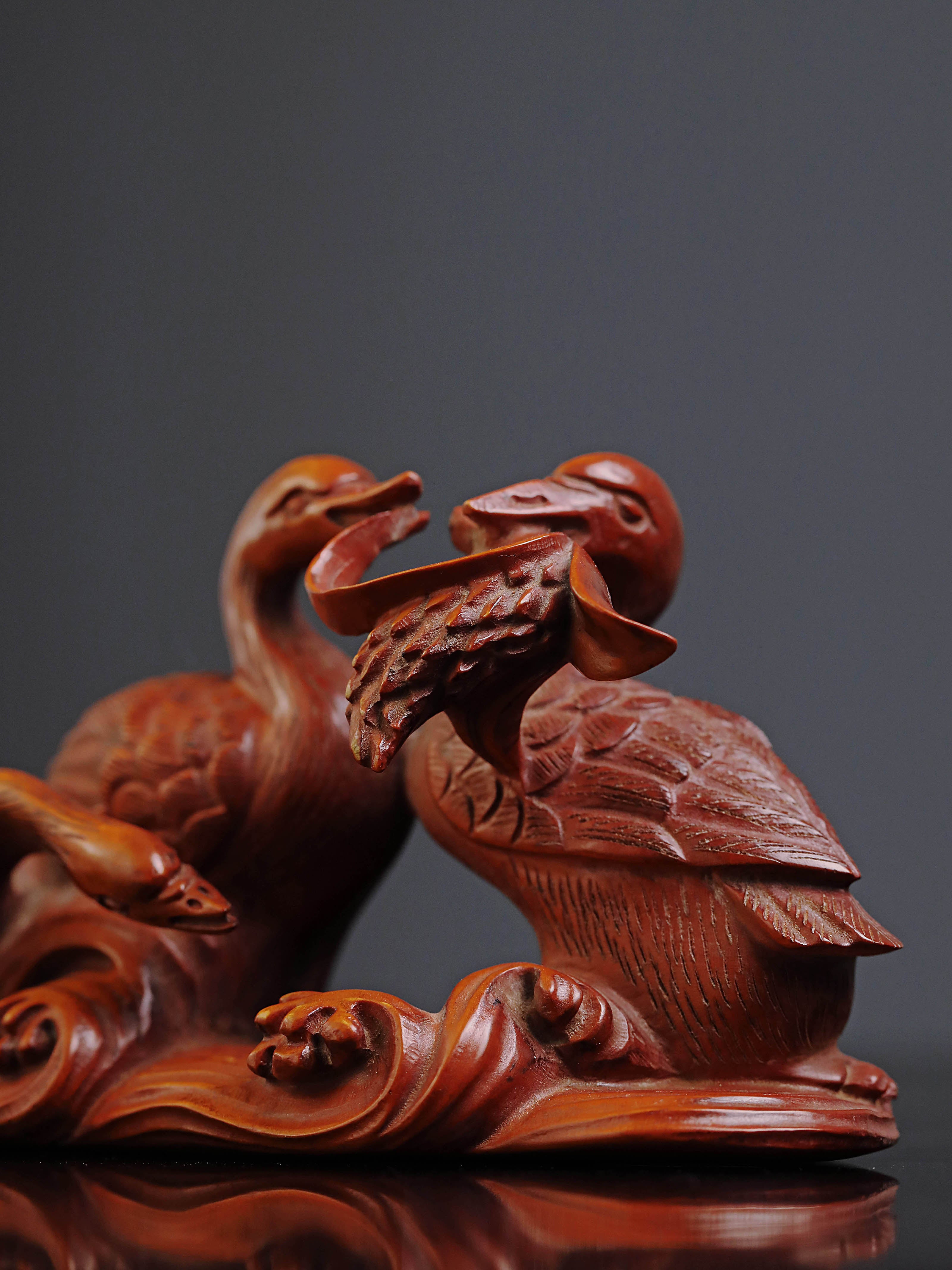 Boxwood in spring, river water warms