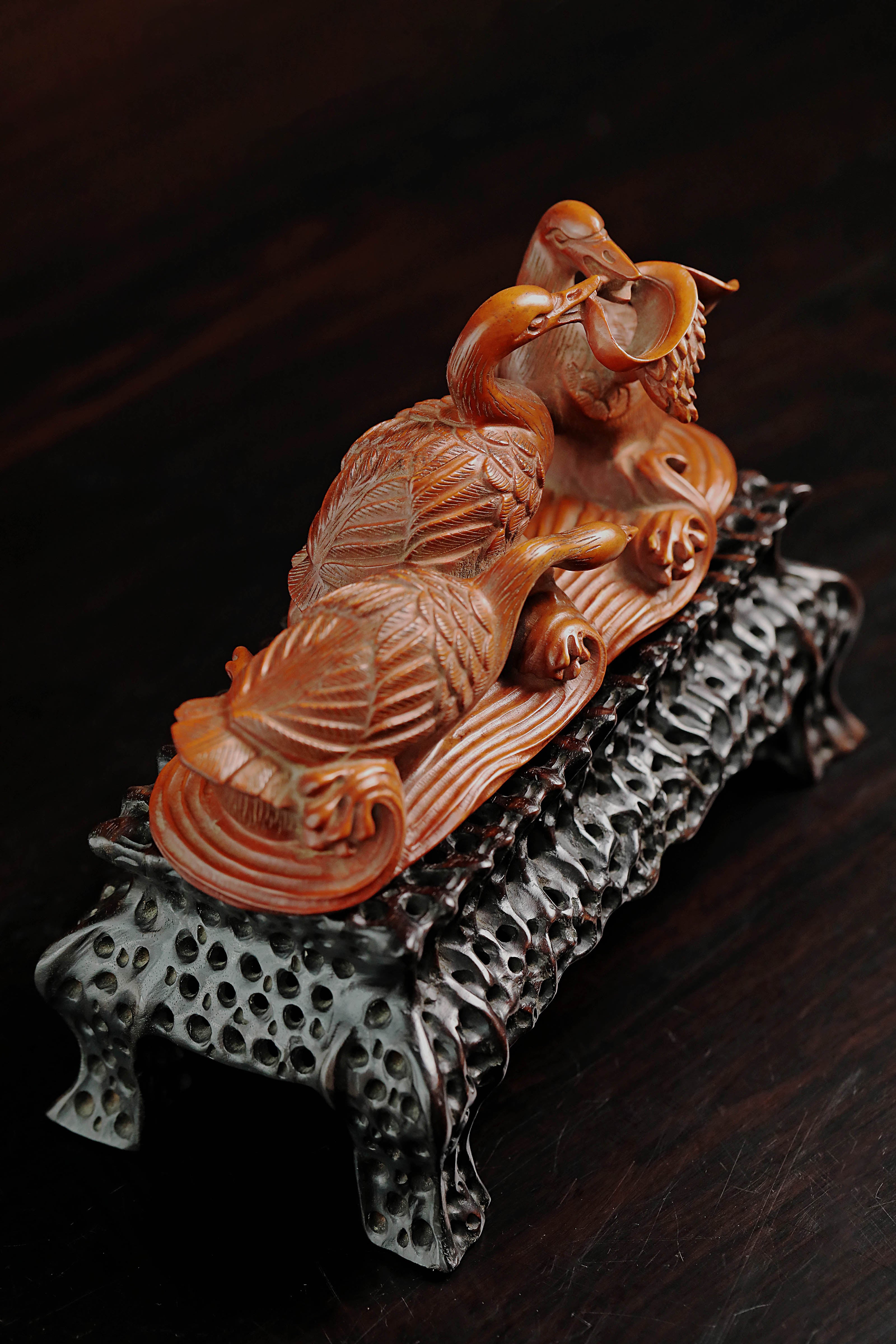 Boxwood in spring, river water warms