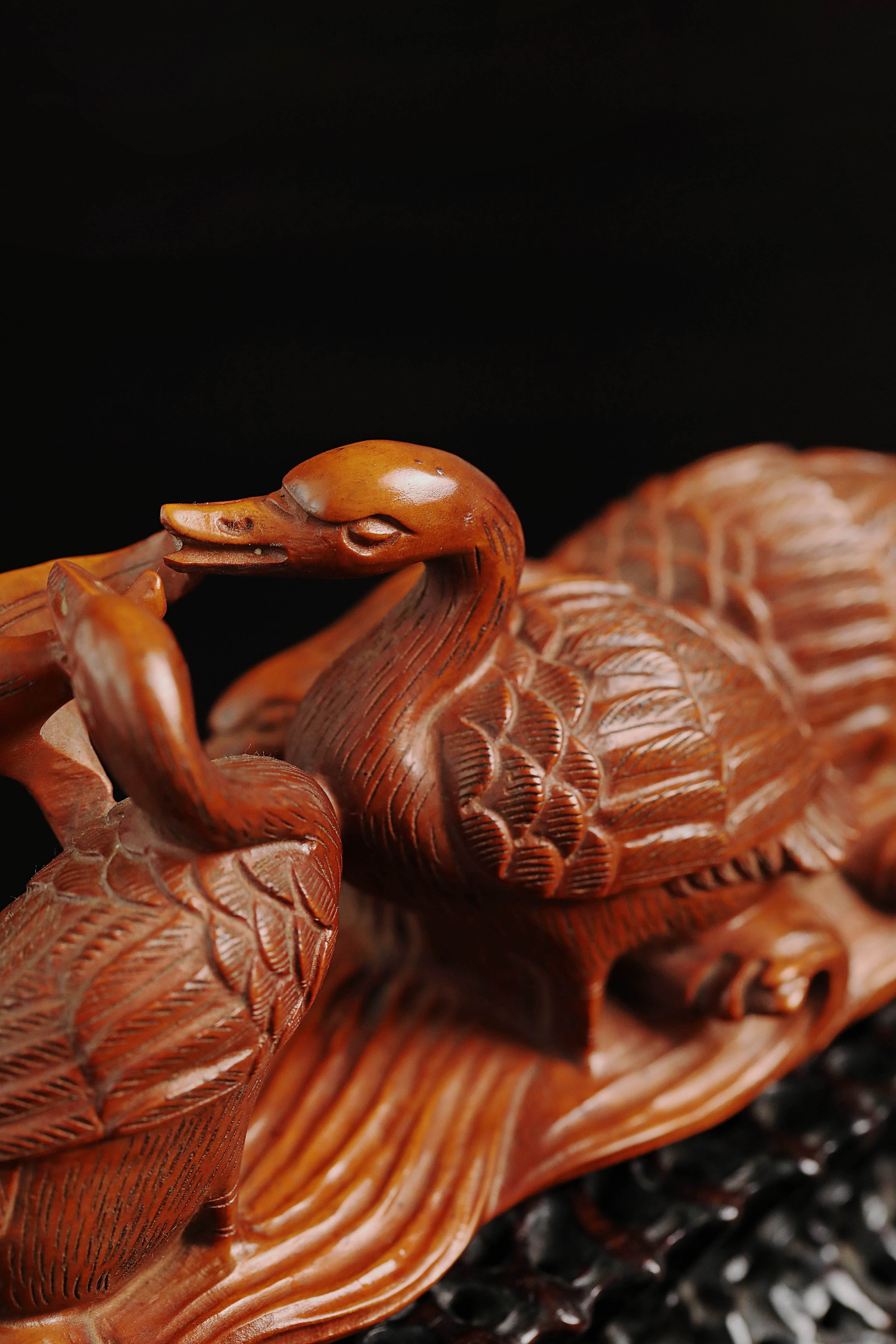 Boxwood in spring, river water warms