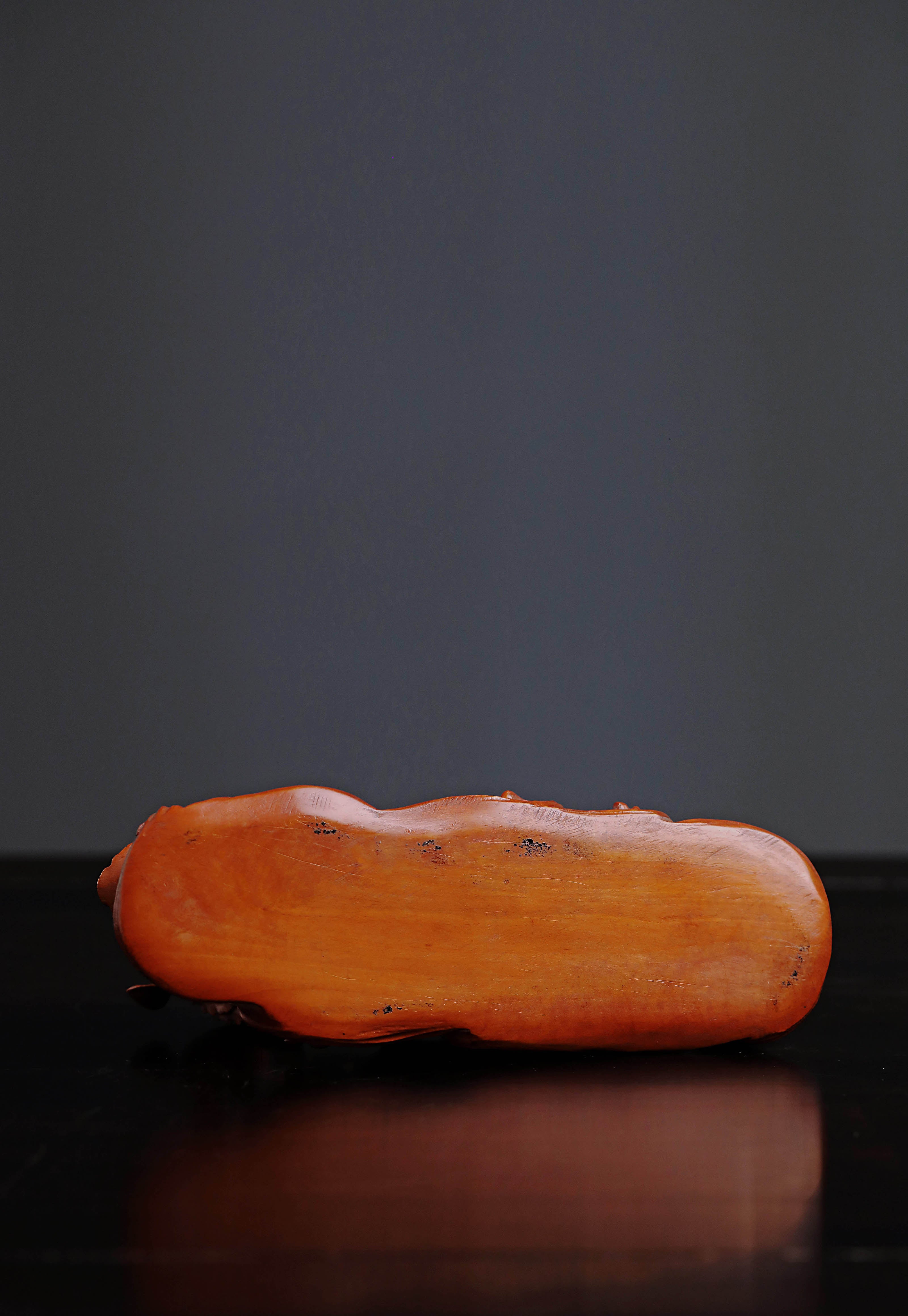 Boxwood in spring, river water warms