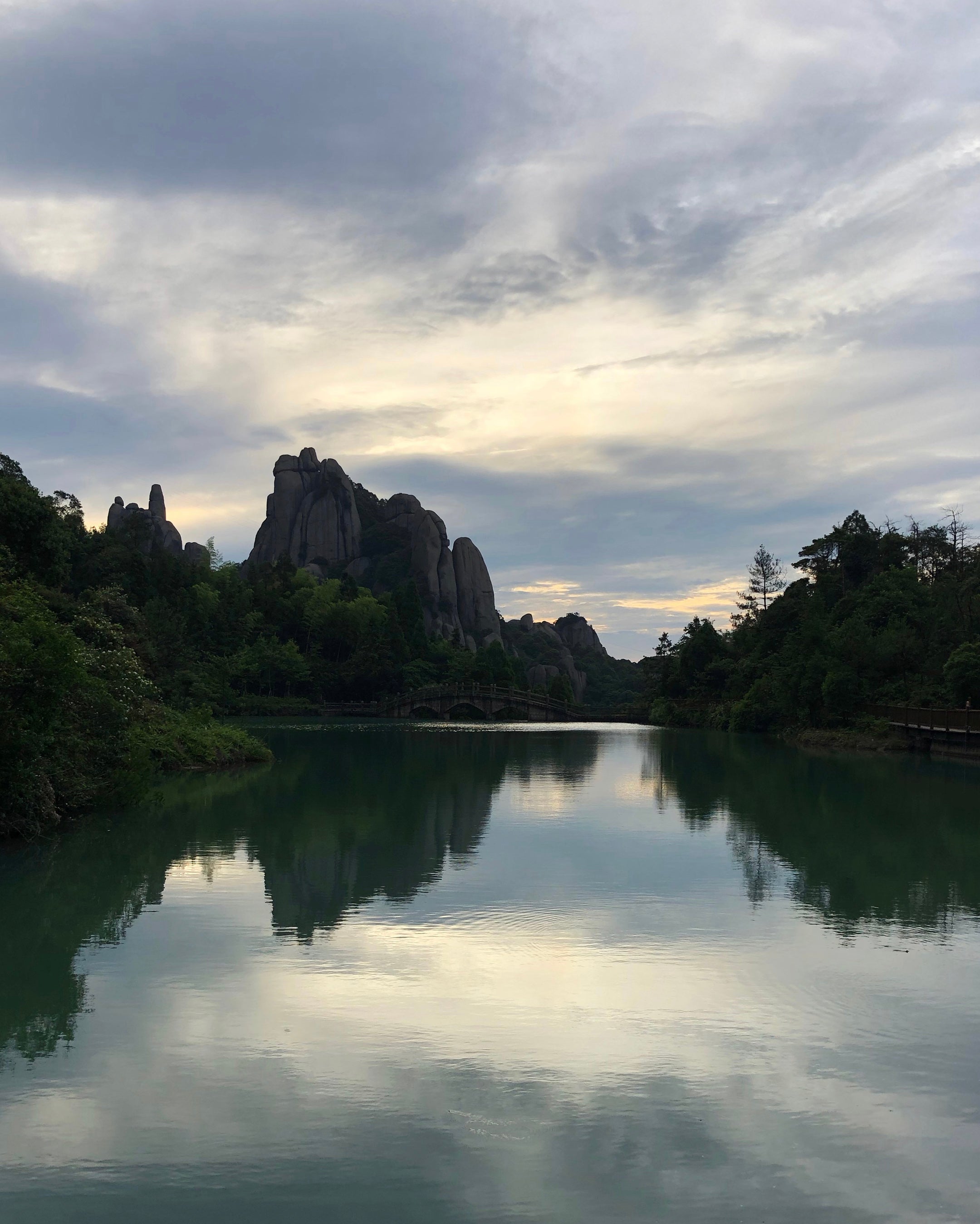 Taimu Mountain 2013 Silver Needle White Tea