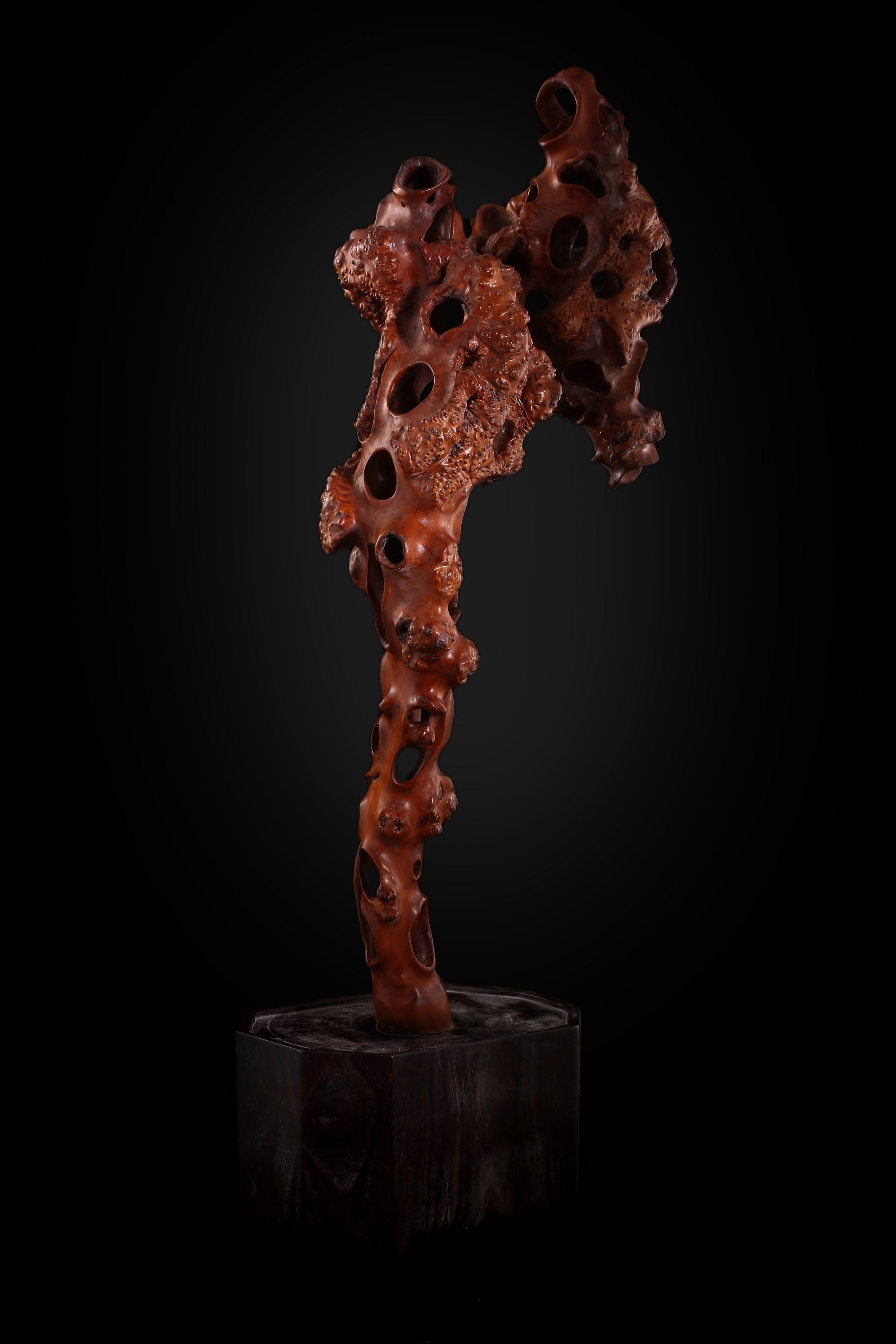 Boxwood Carved Peak Mountain 