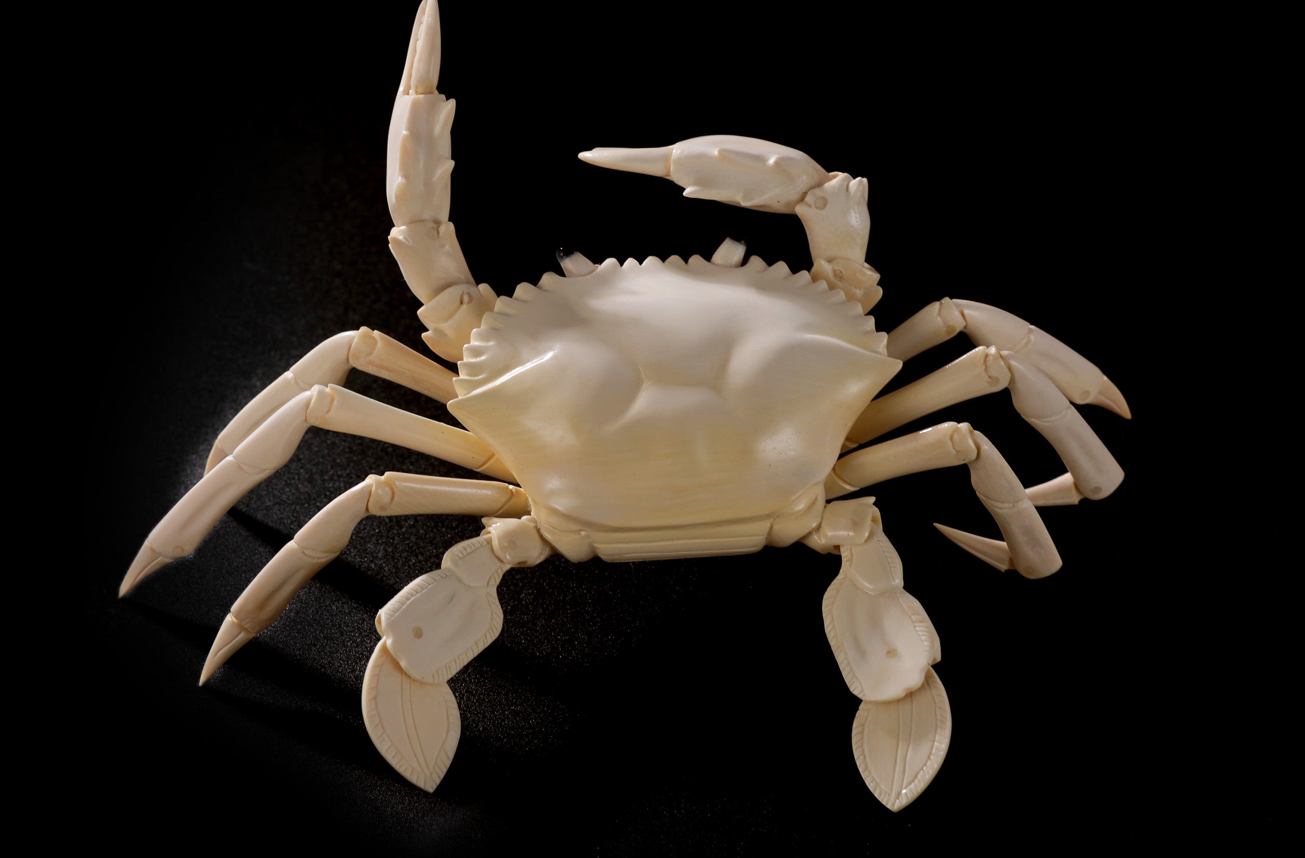 Passing the imperial examination with flying colors, achieving the highest rank.