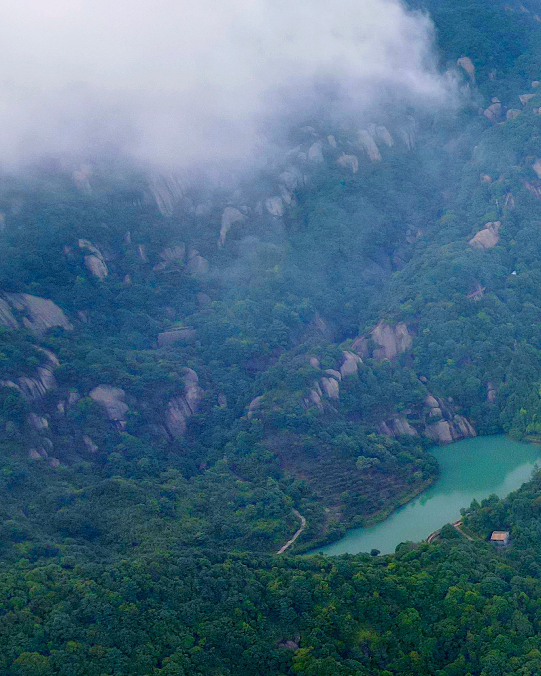 2020 Mountain Fragrance & Wild Charm