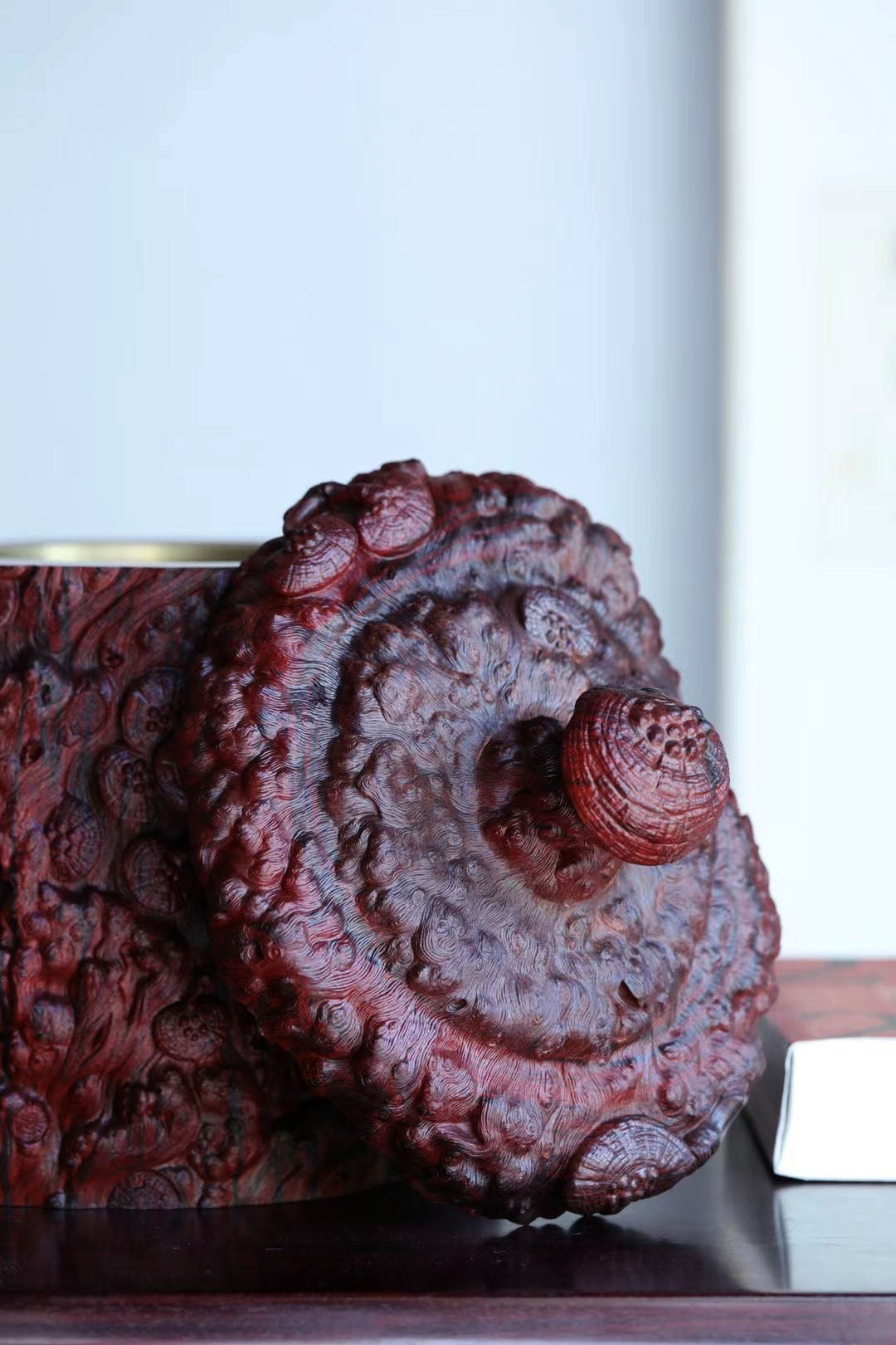 Small-leaf sandalwood, Ganoderma lucidum, and large tea warehouse