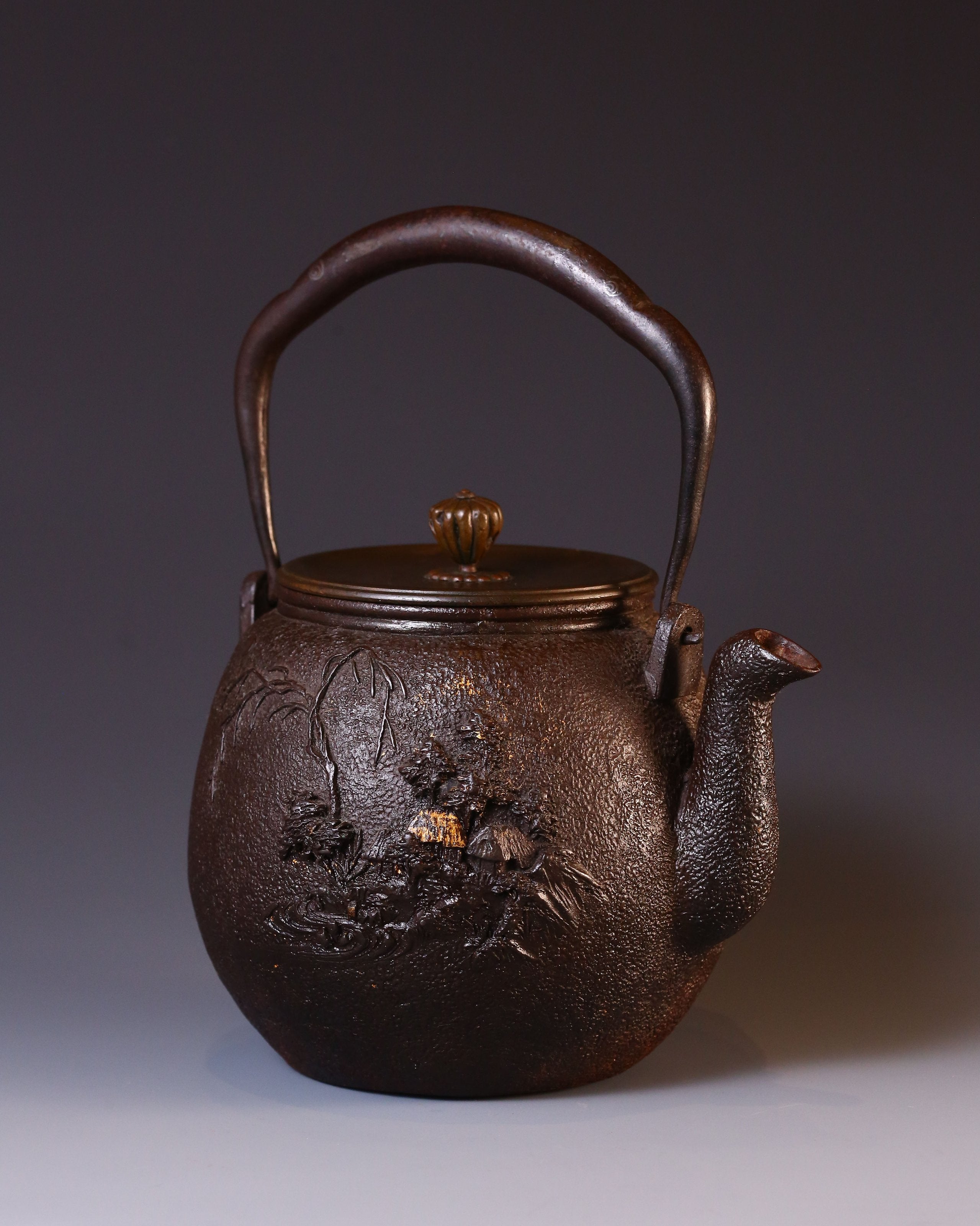 Ryūbundō Begonia Begonia Iron Kettle