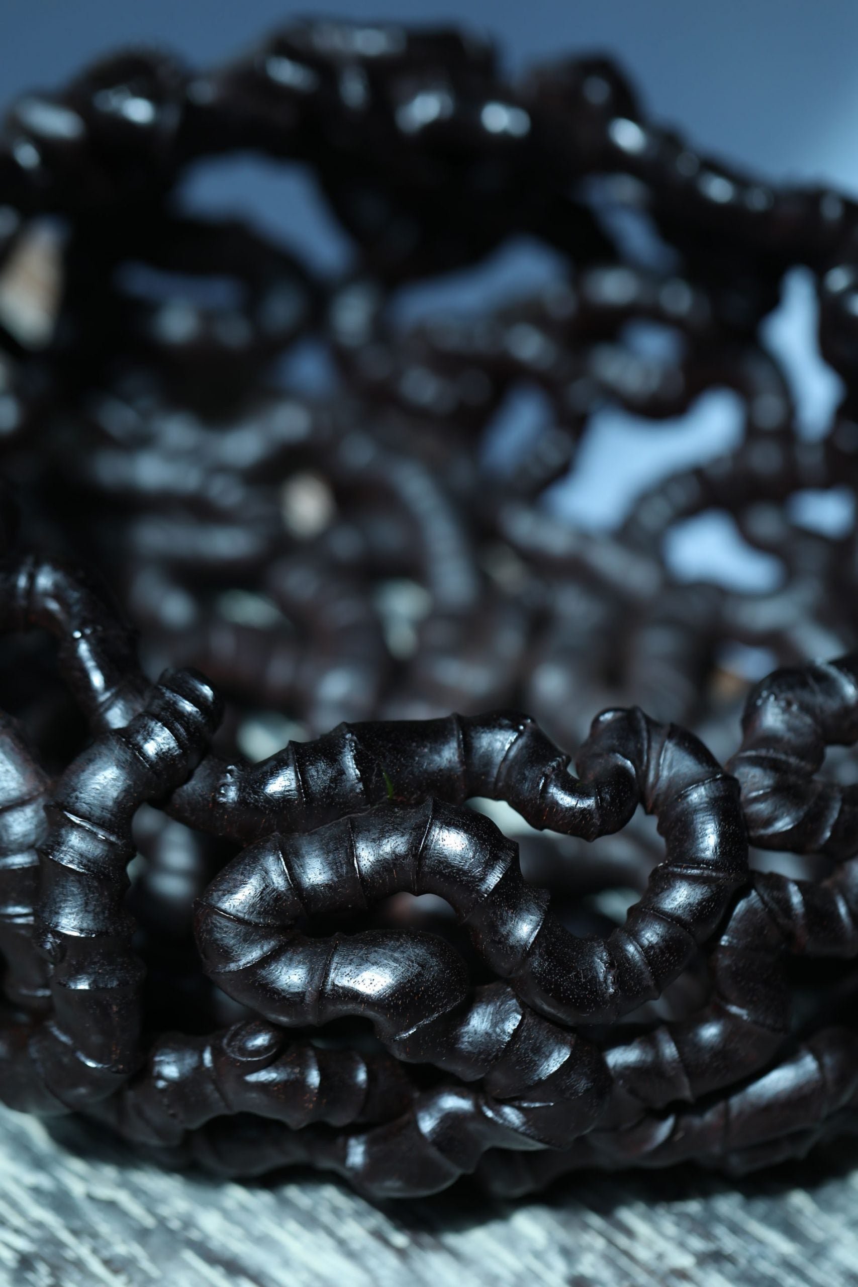 Intricate Roots | Zhao Huaxin's Work