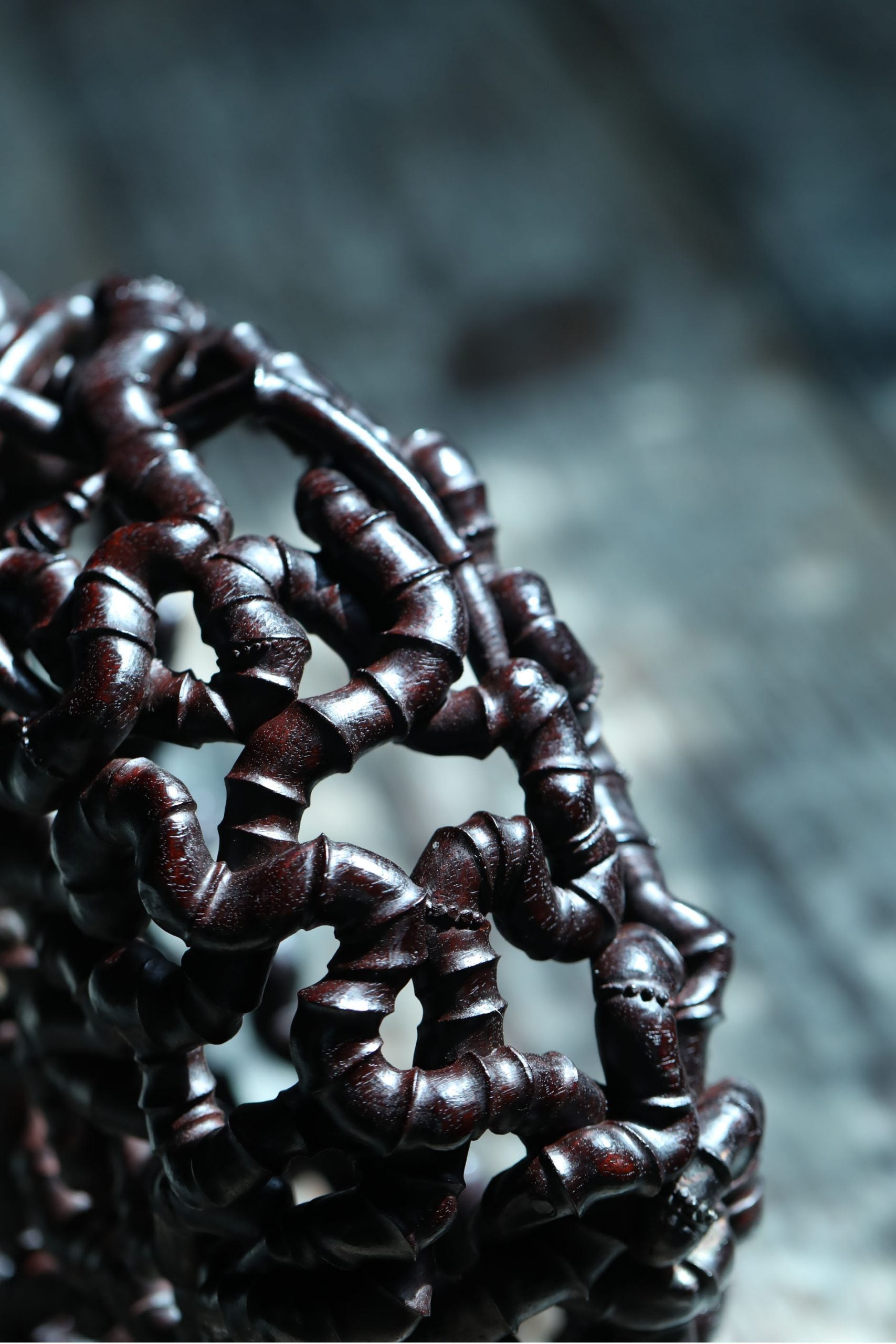 Intricate Roots | Zhao Huaxin's Work