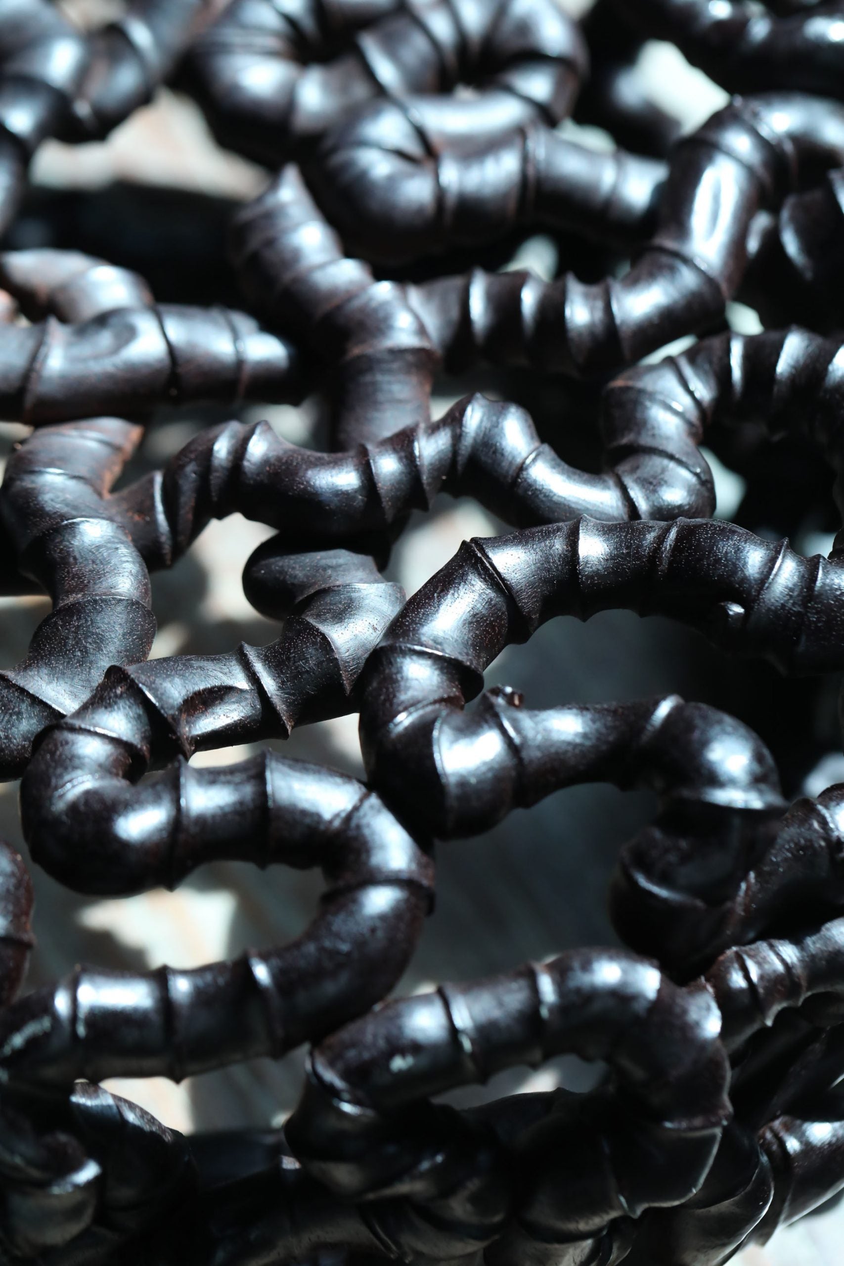 Intricate Roots | Zhao Huaxin's Work