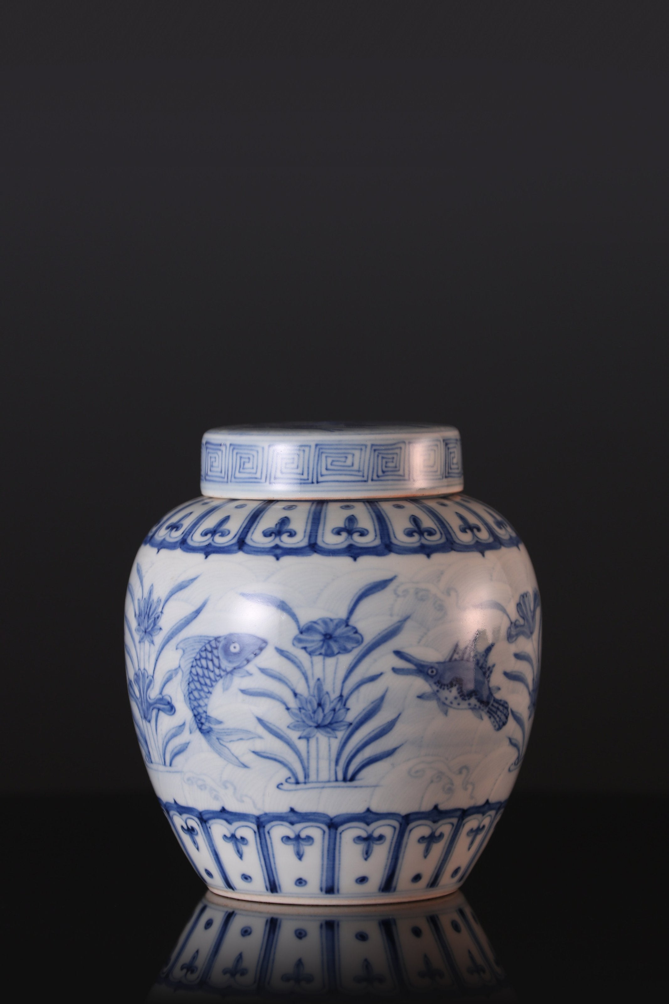 Blue and white algae pattern tea caddy