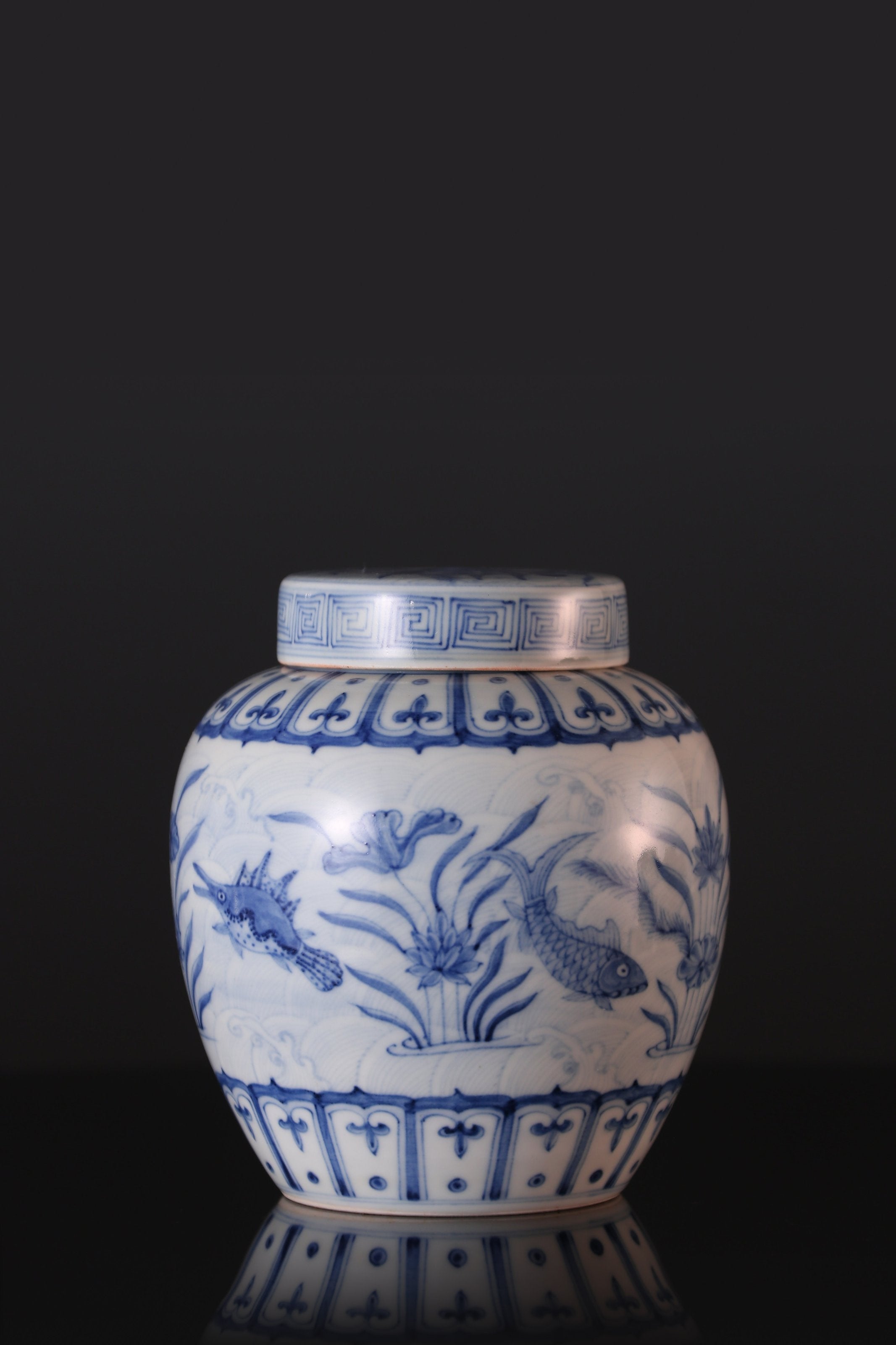Blue and white algae pattern tea caddy