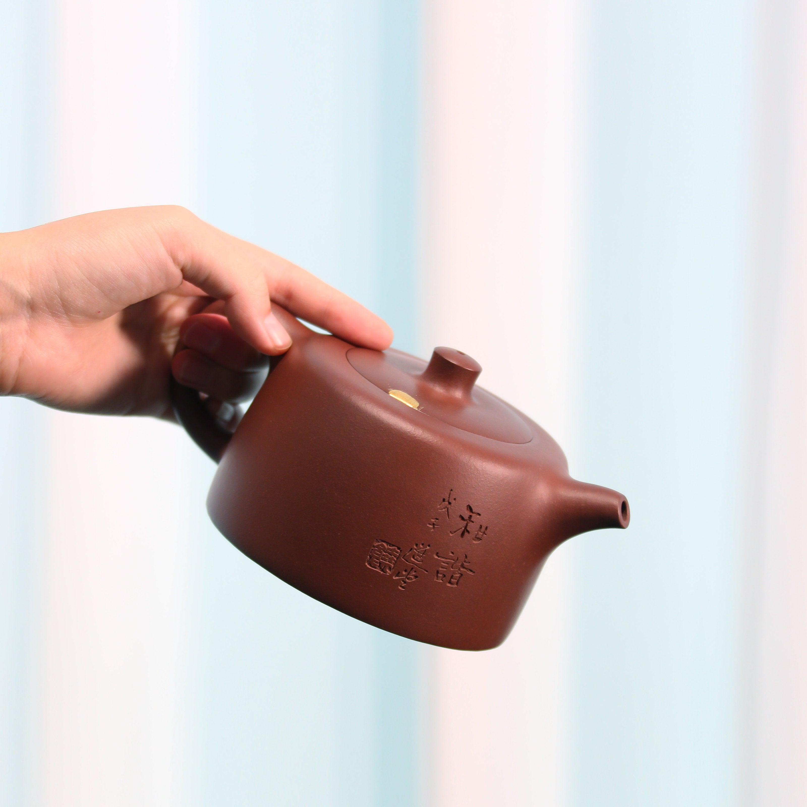 Rao Zongyi's 2008 Qing Dynasty Water Well Curtain Calligraphy and Painting Teapot