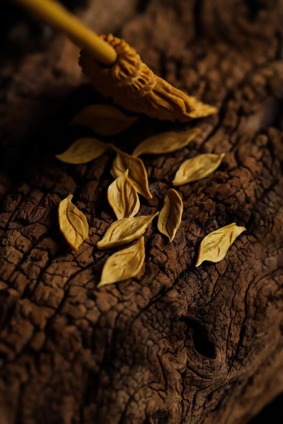 Boxwood Sweeping Monk